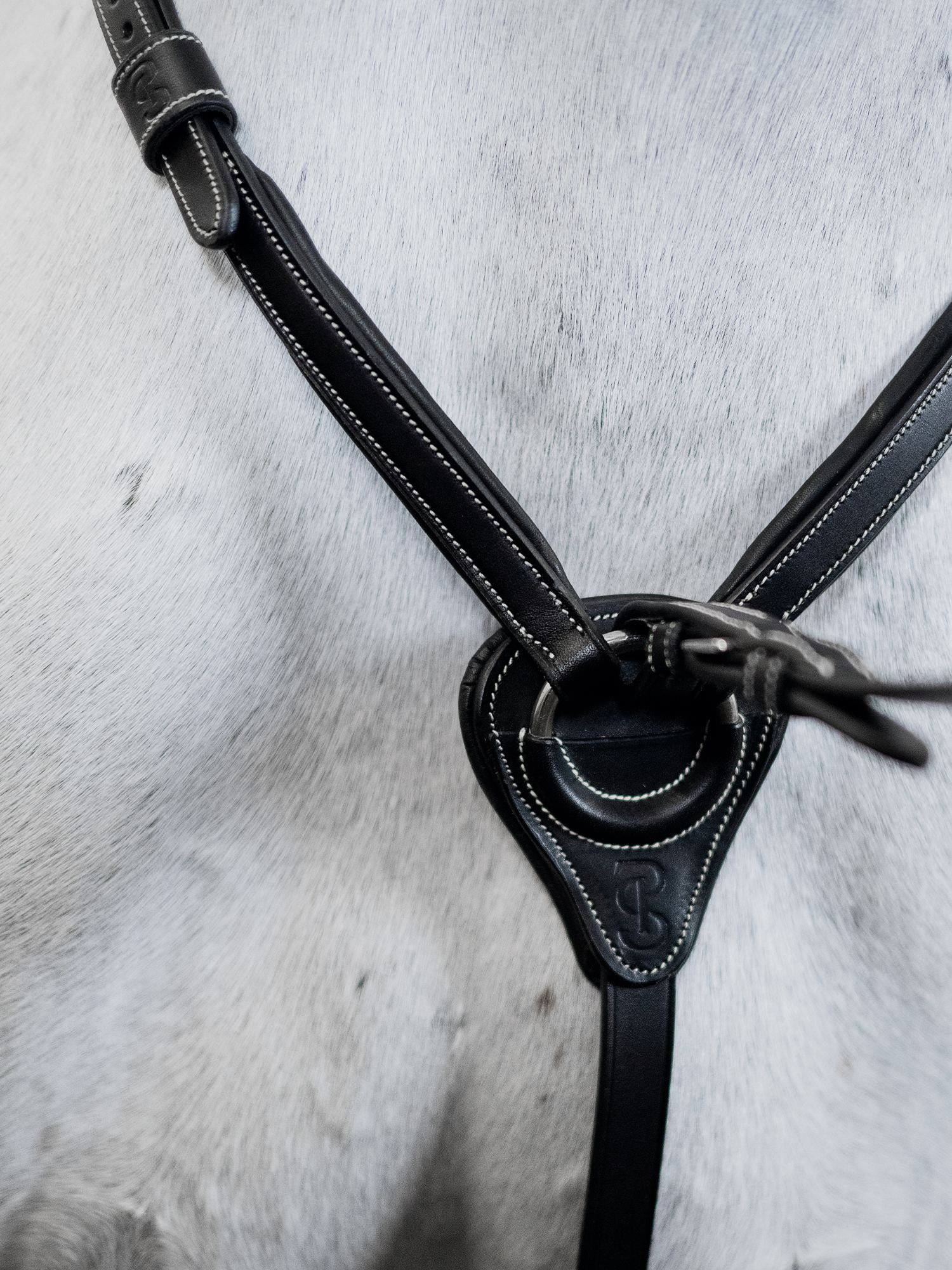 Martingale Seoul