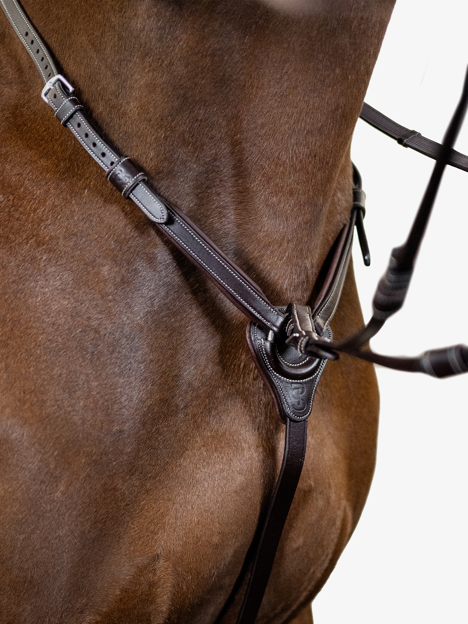 Martingale Seoul