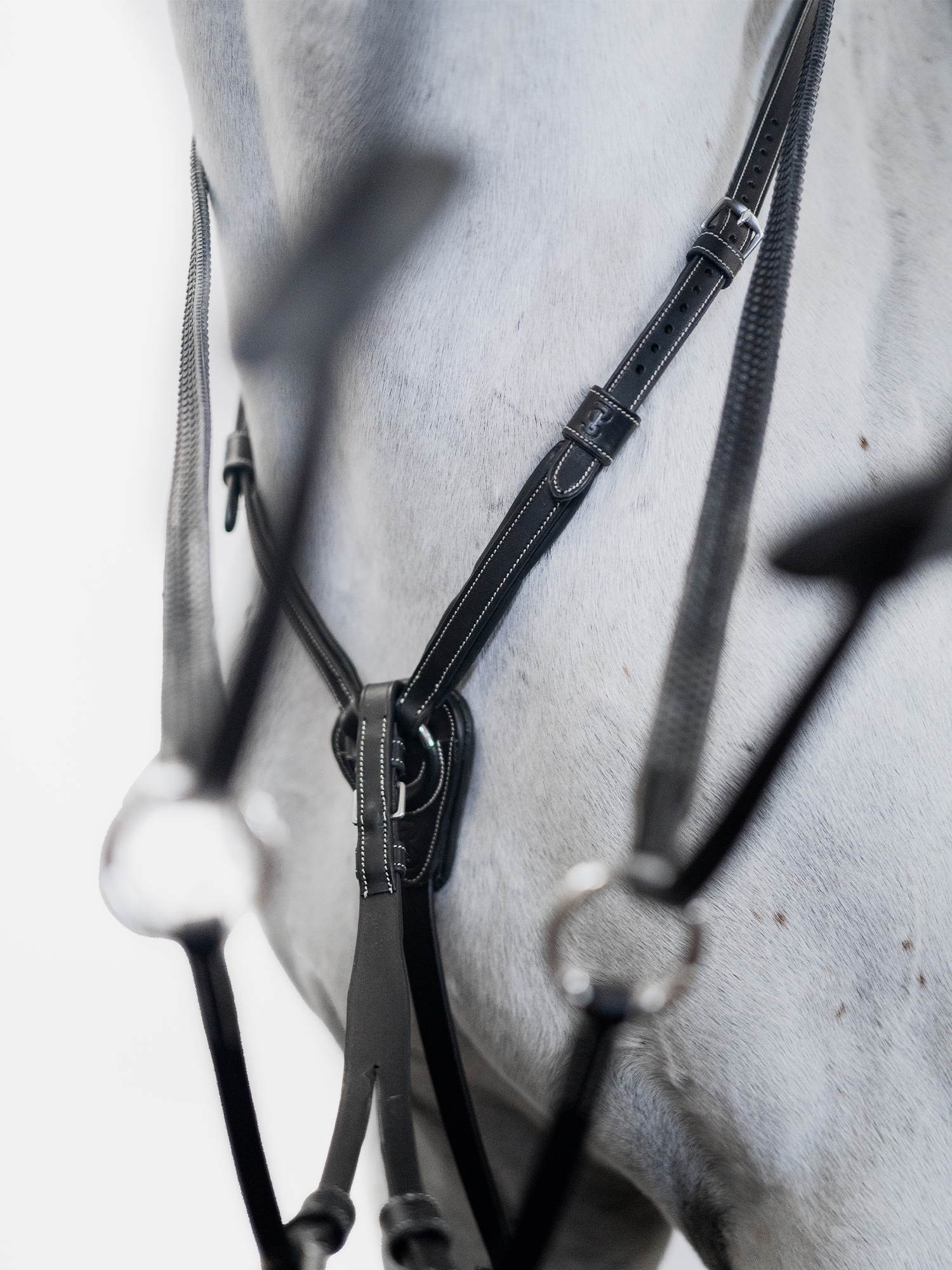 Martingale Seoul