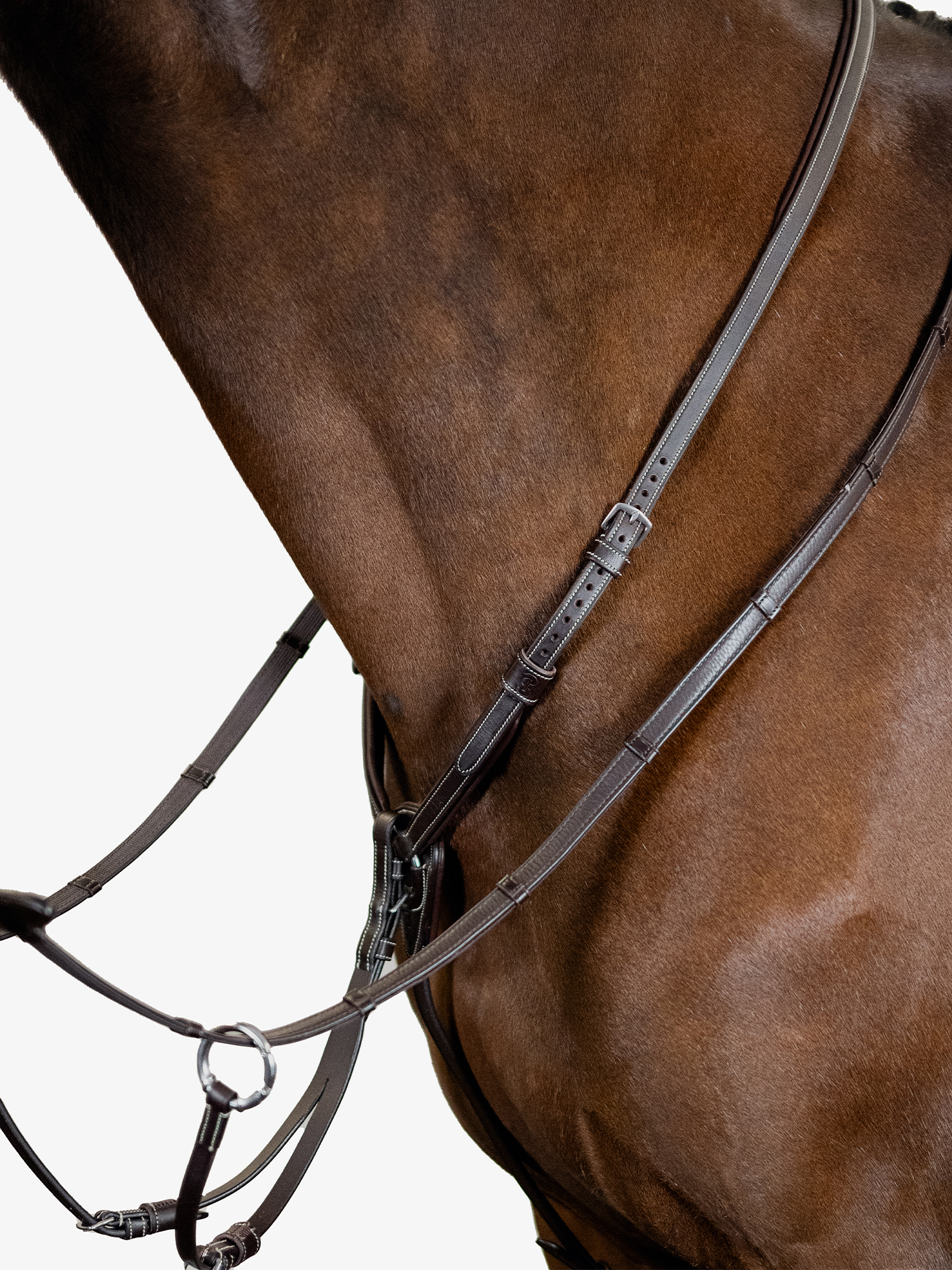Martingale Seoul