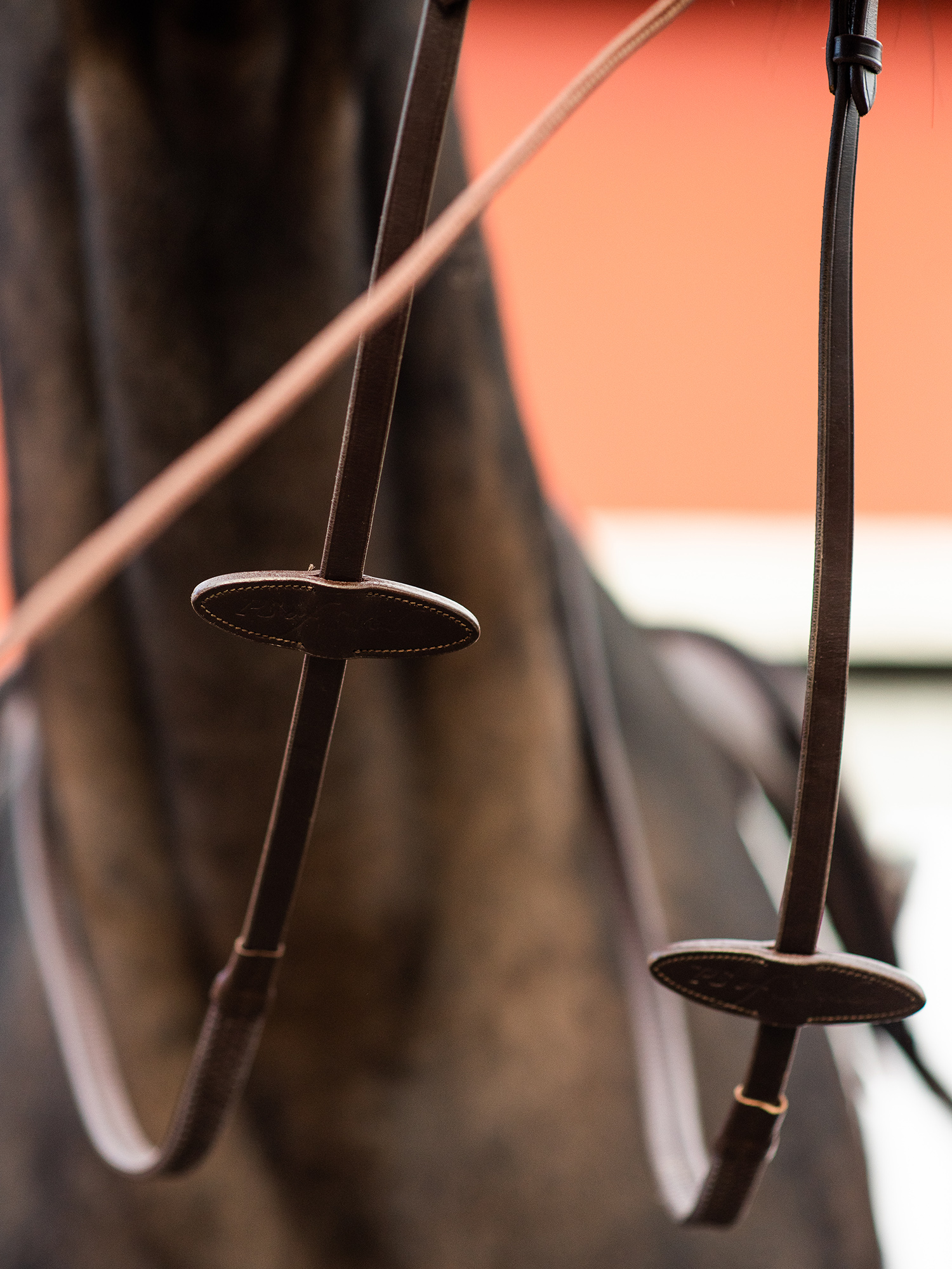 Reins Rubber