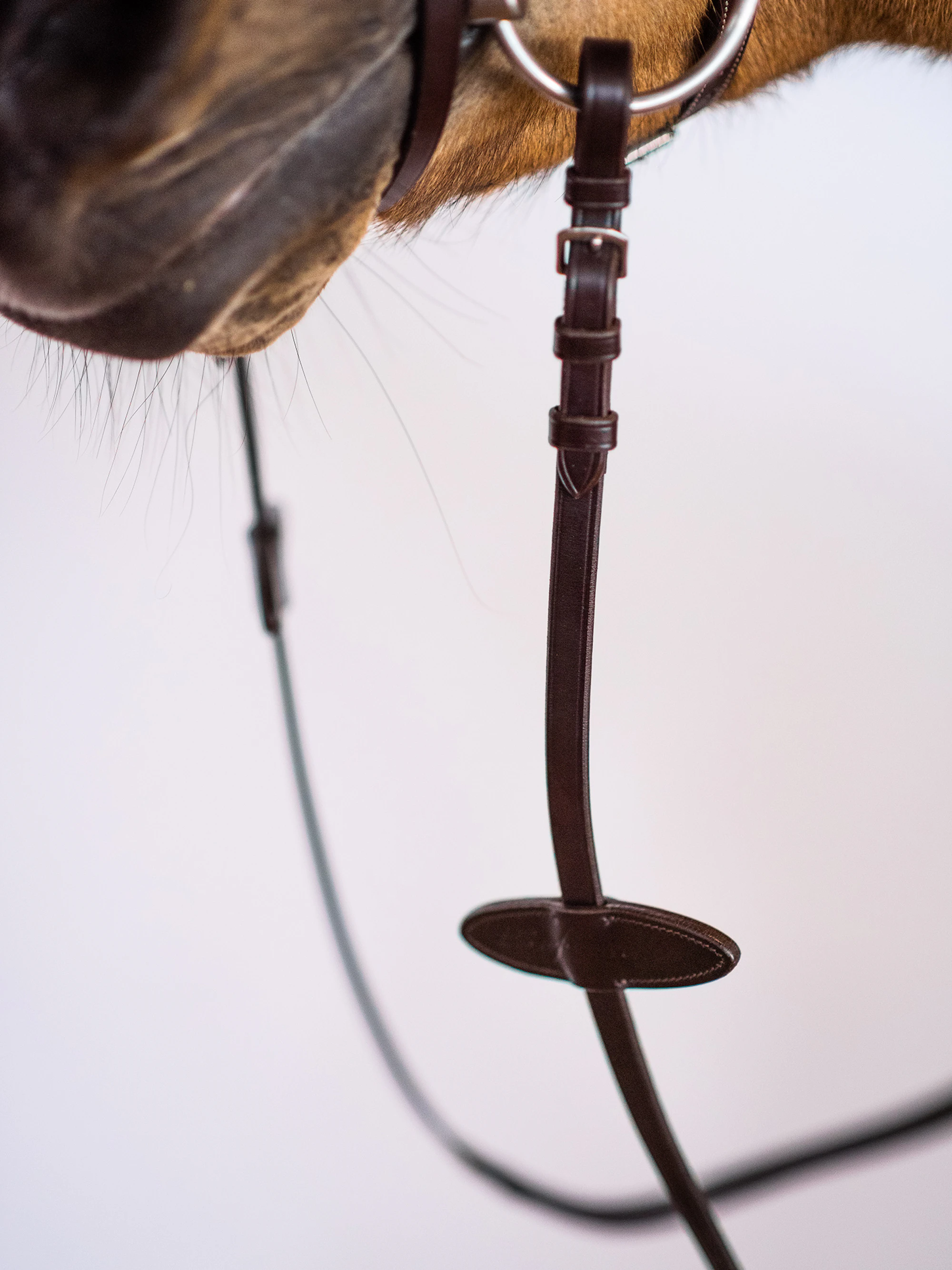 Reins Rubber Reins Rubber