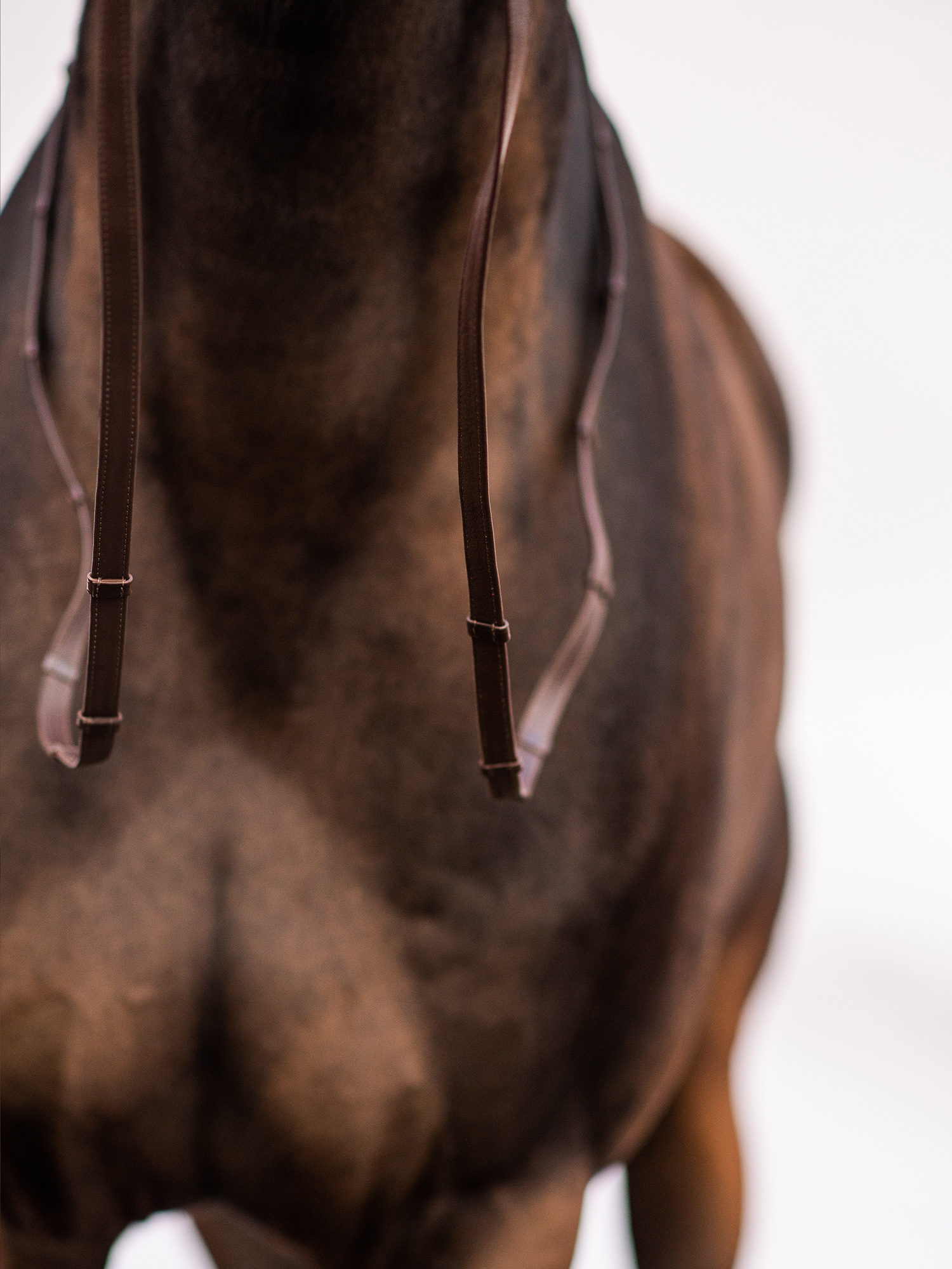 Reins Softy