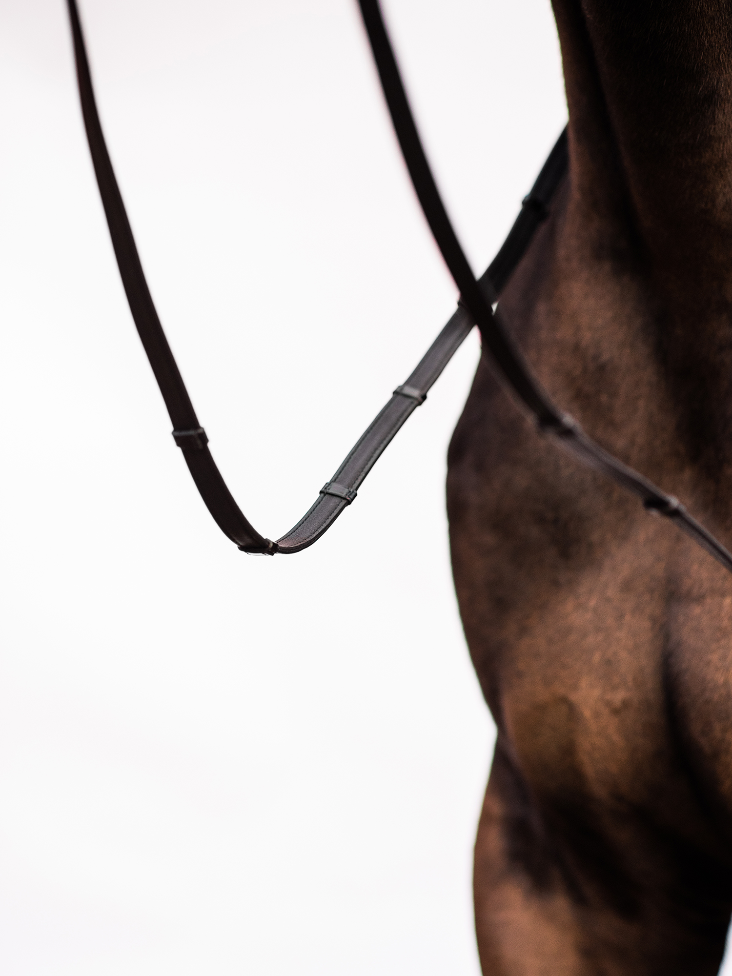 Reins Softy