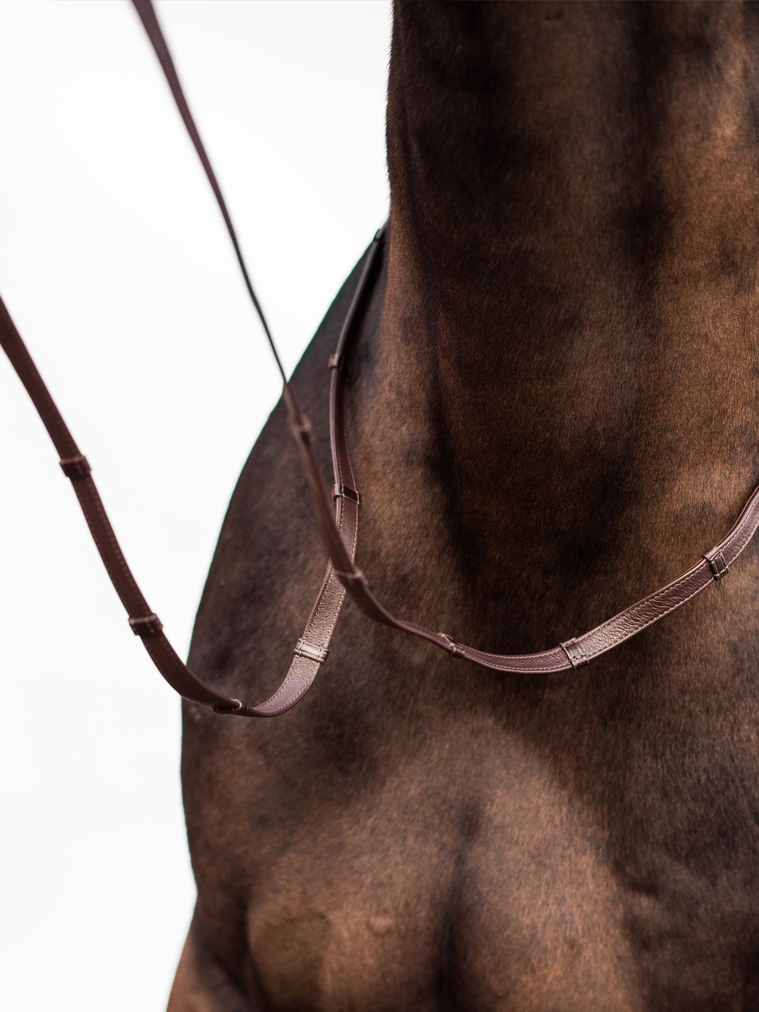 Reins Softy