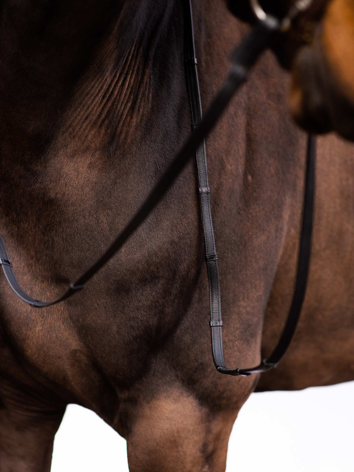 Reins Softy
