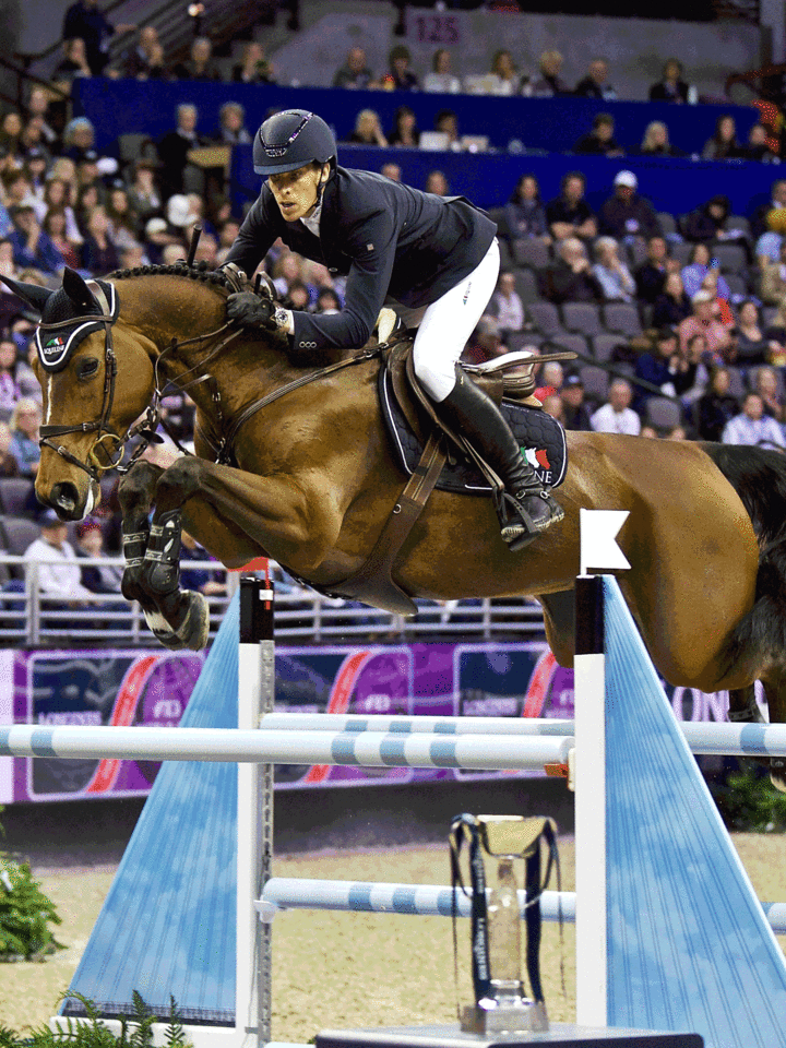 Reins by HvE