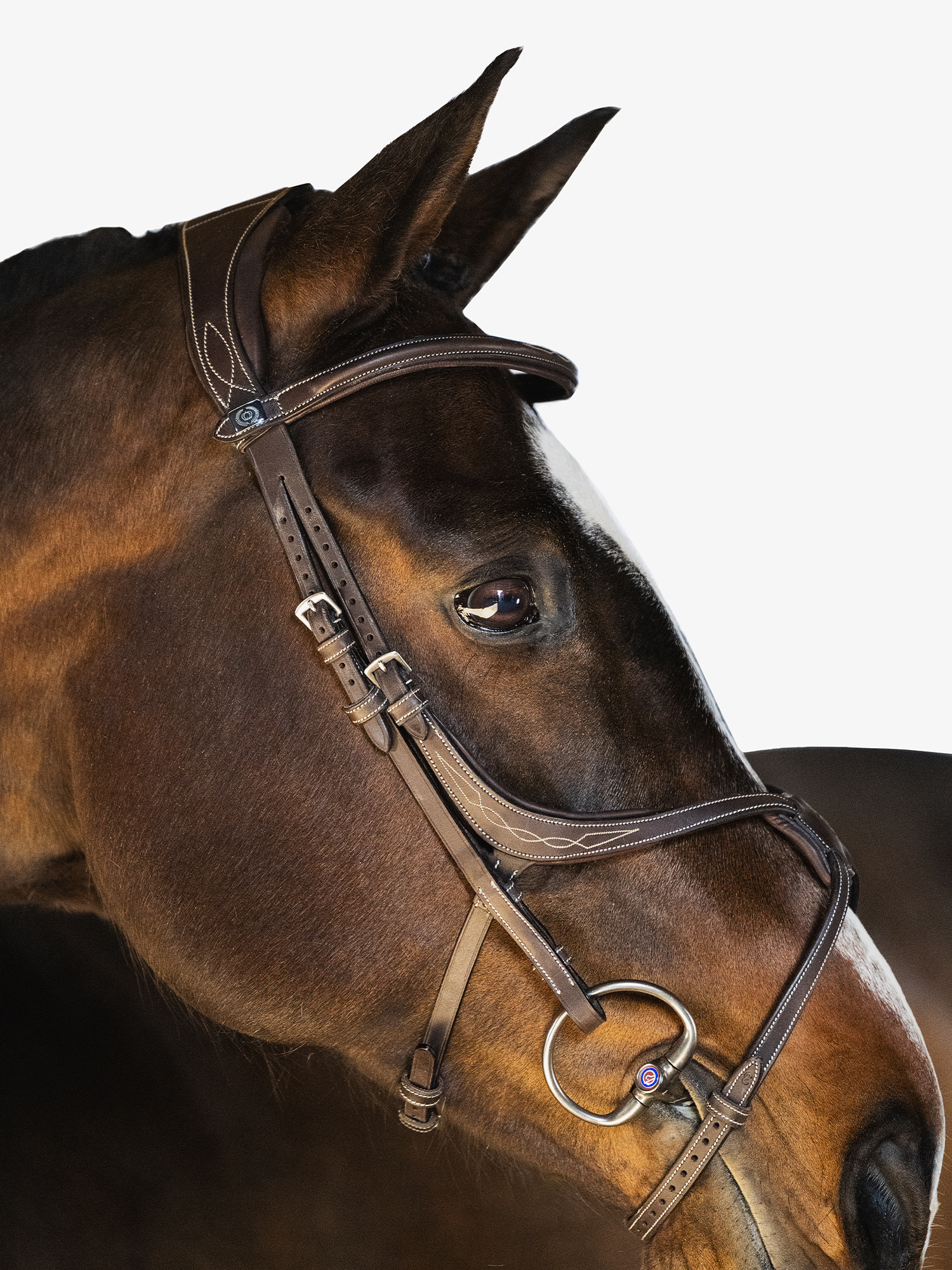 Athens Bridle