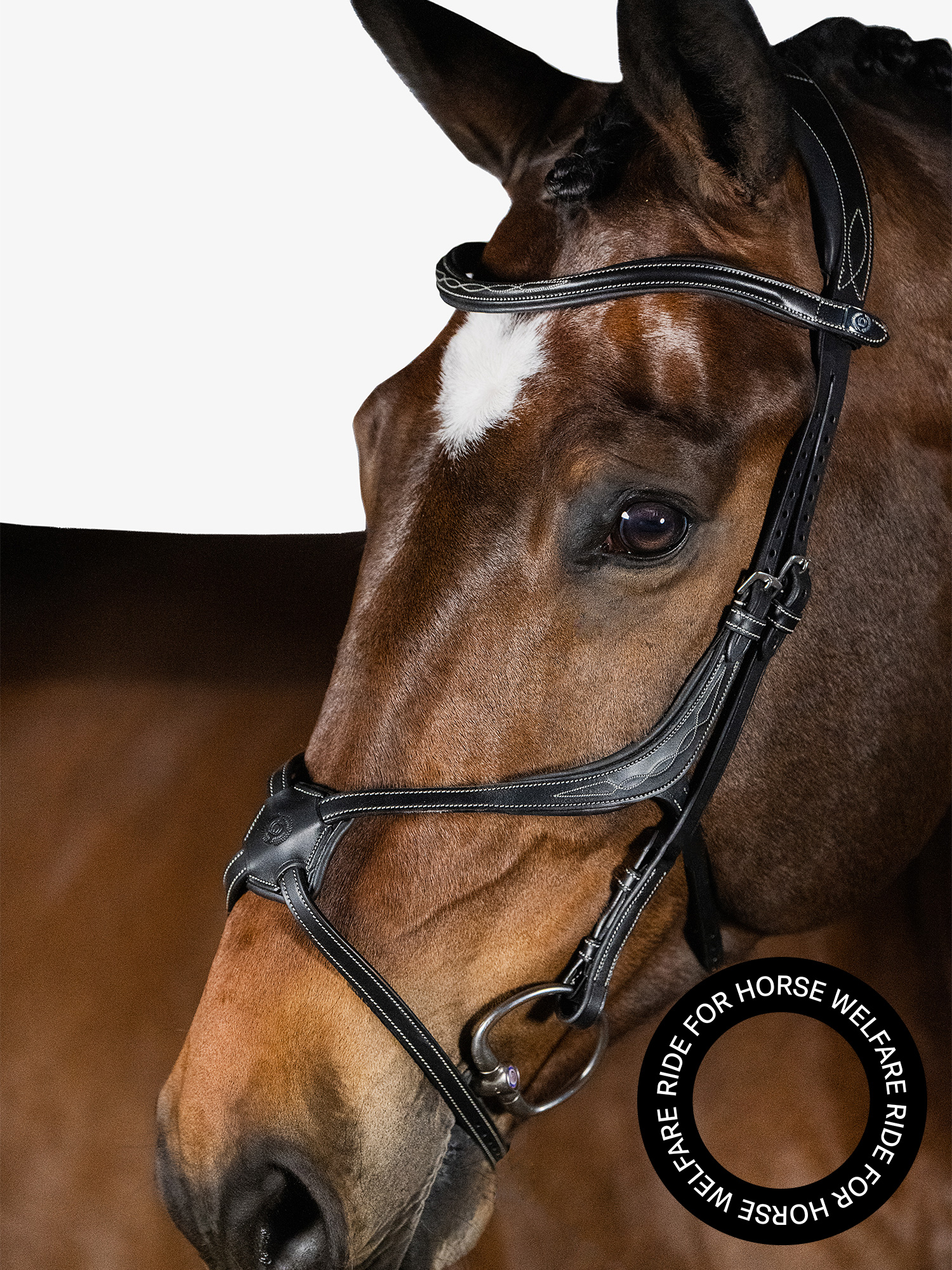 Athens Bridle