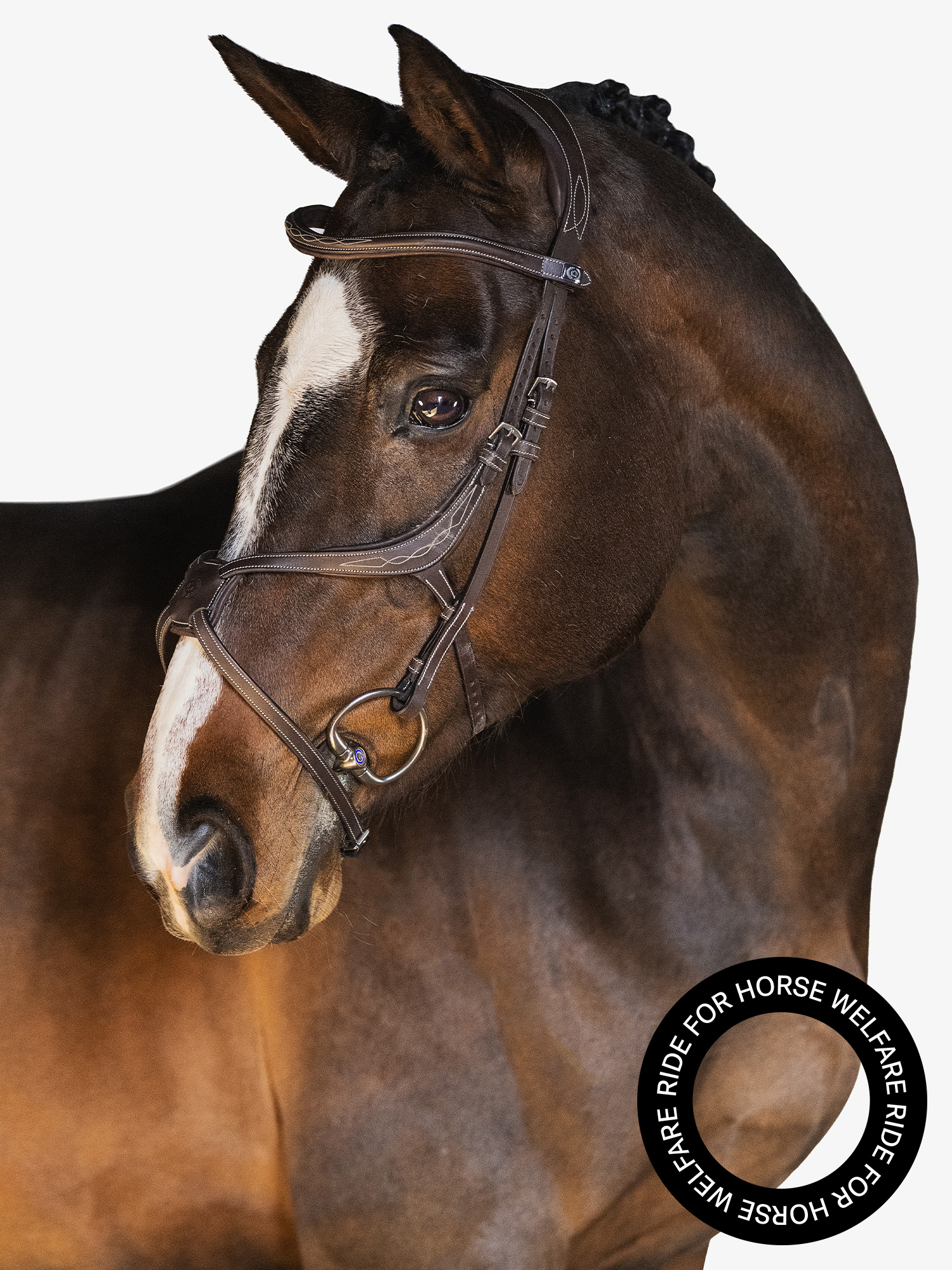 Athens Bridle