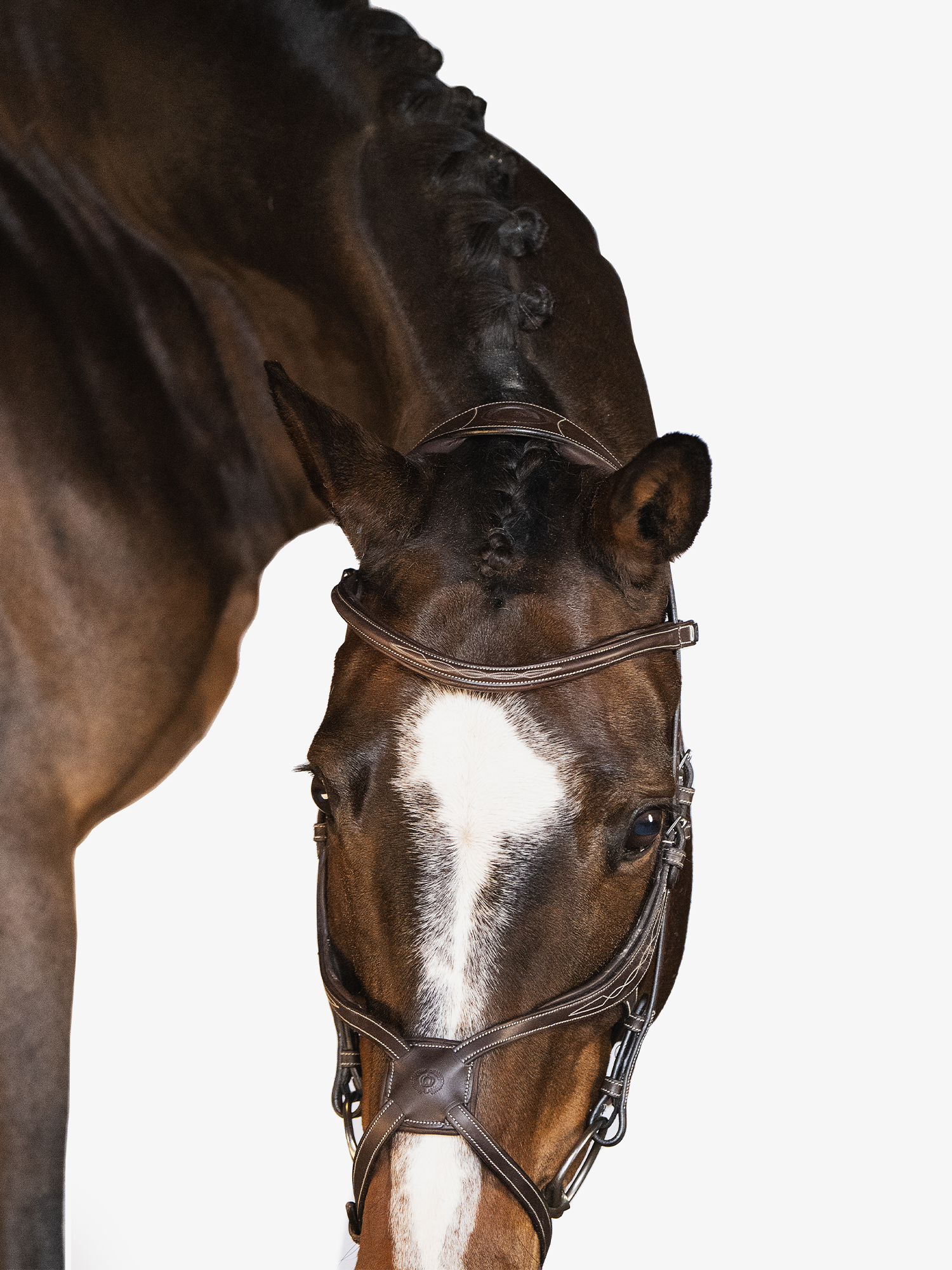 Athens Bridle