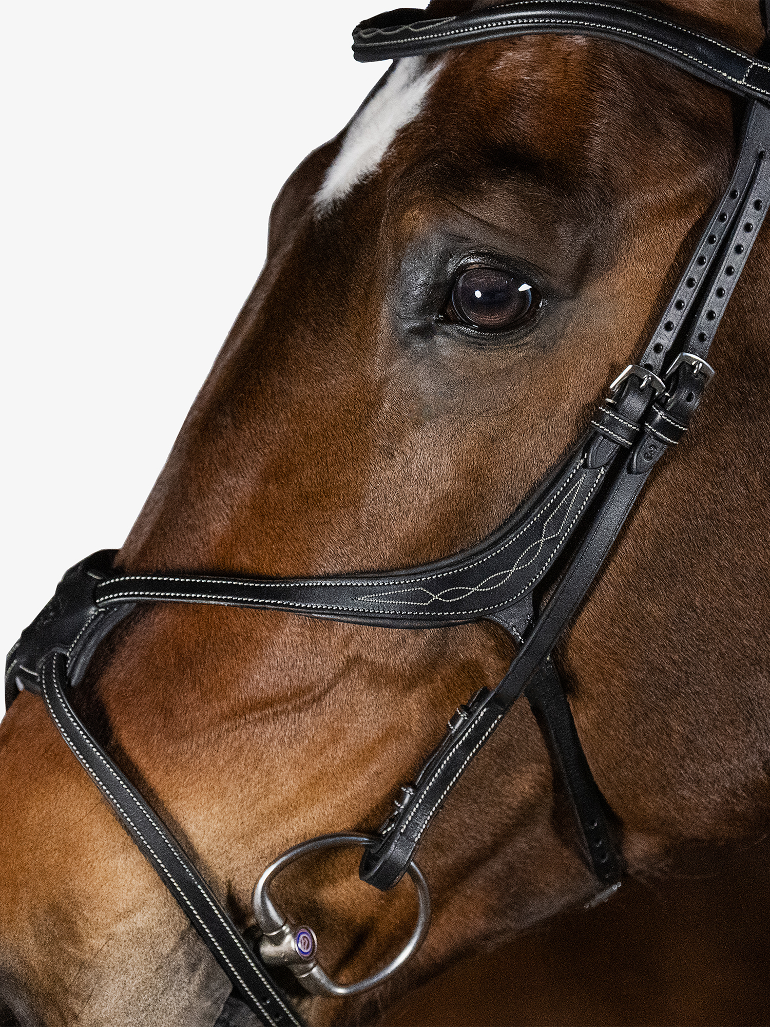Athens Bridle