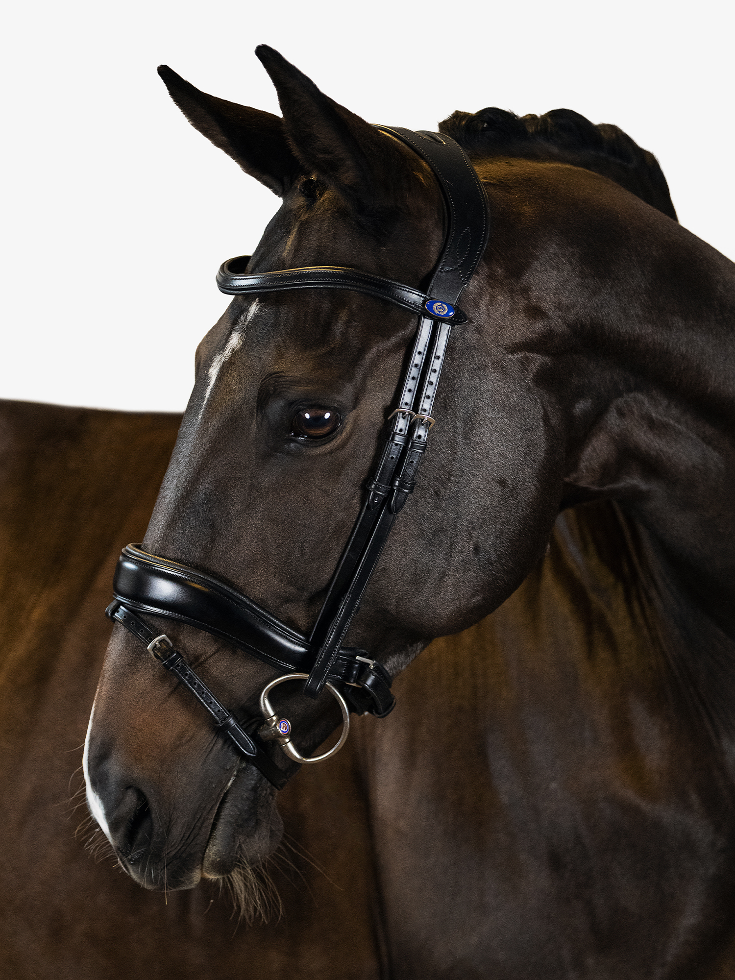 Bridle Flying Change
