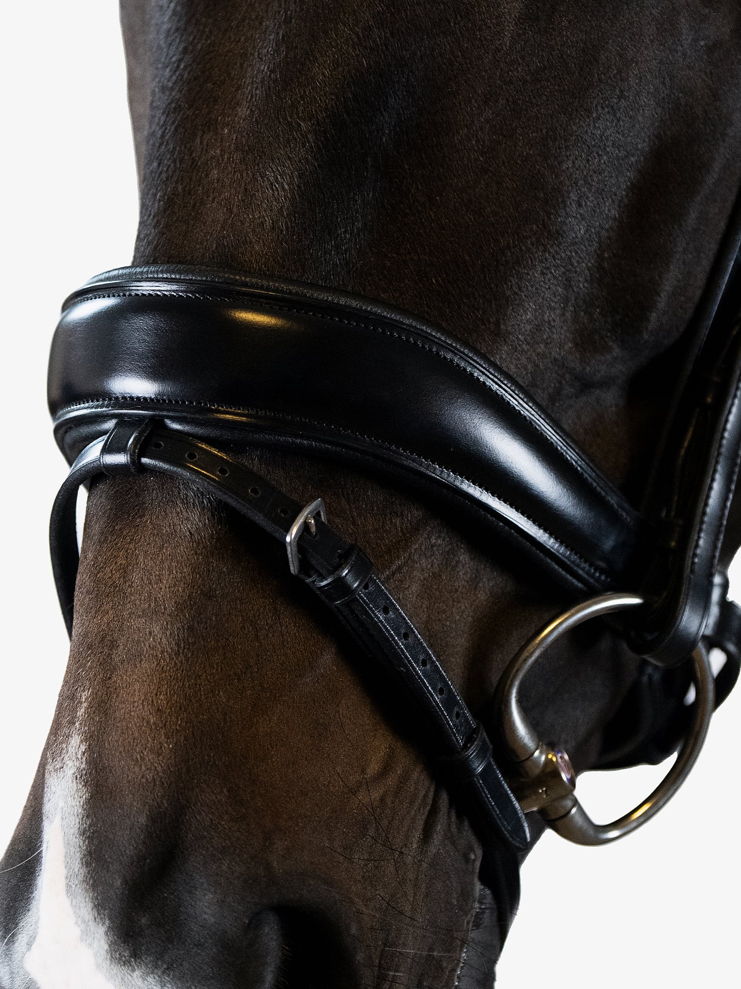 Bridle Flying Change