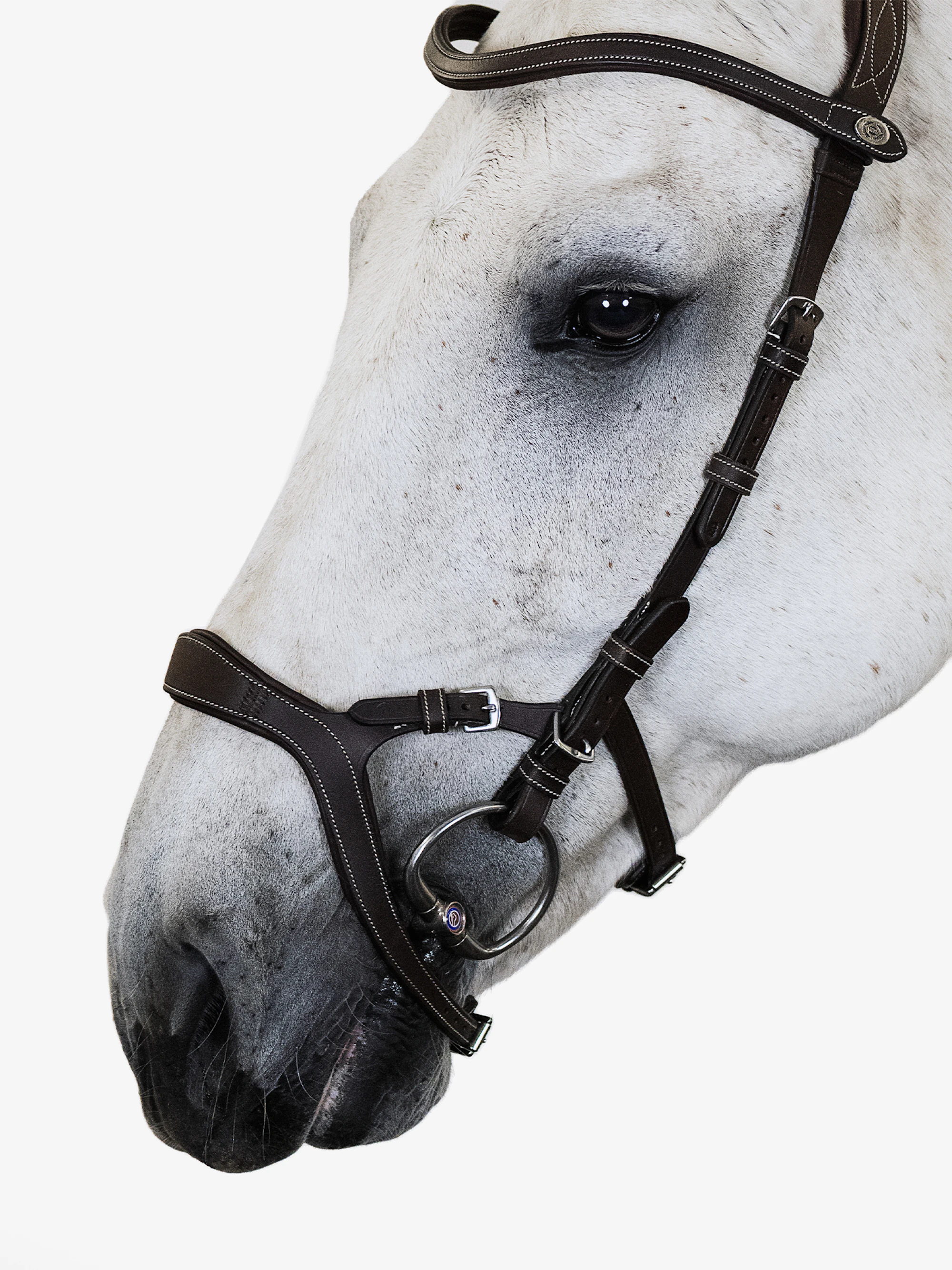 Nirak Bridle Nirak Bridle