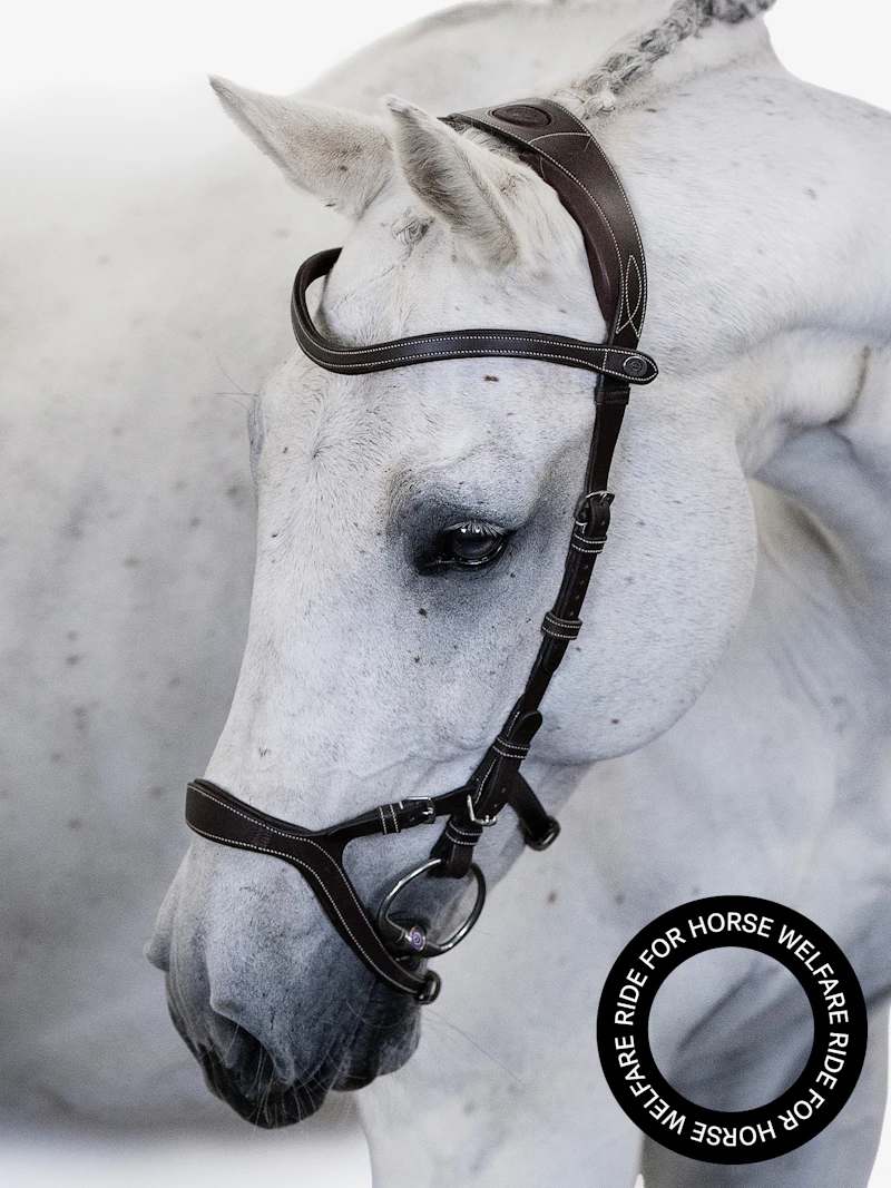 Nirak Bridle Nirak Bridle