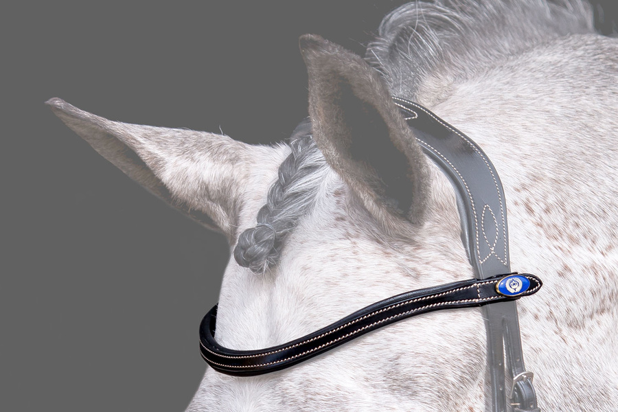 Browband Helsinki