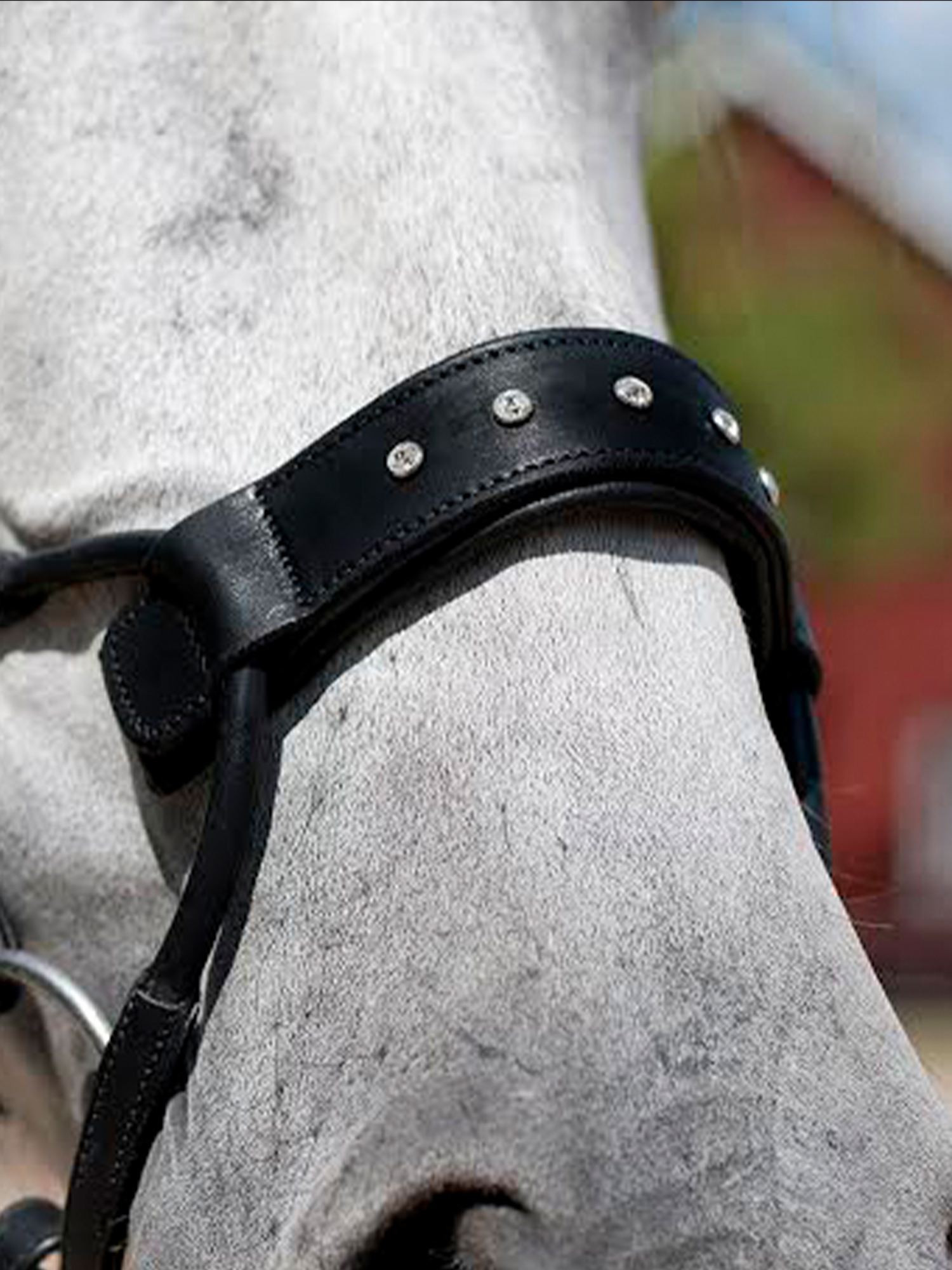High Jump Noseplate Swarovski Crystal