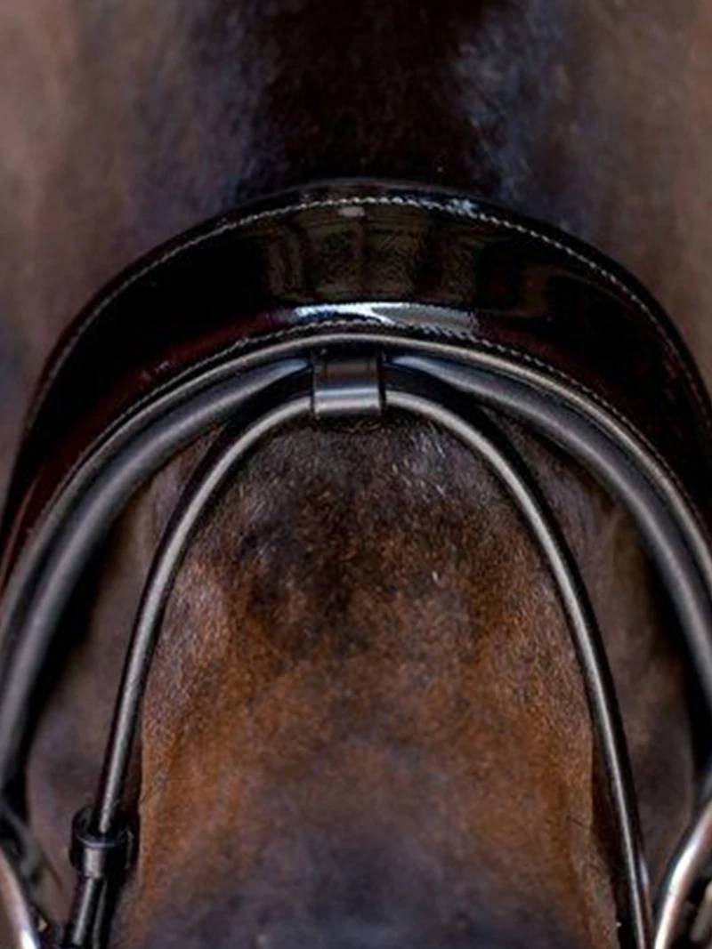 Flash Holder Magic Flash Holder Magic