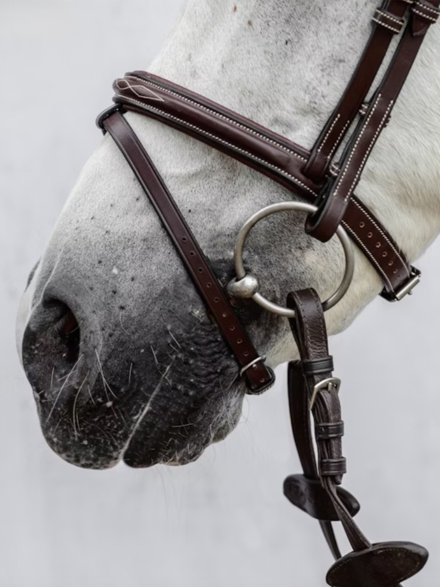 Noseband Fancy Stitching PRO
