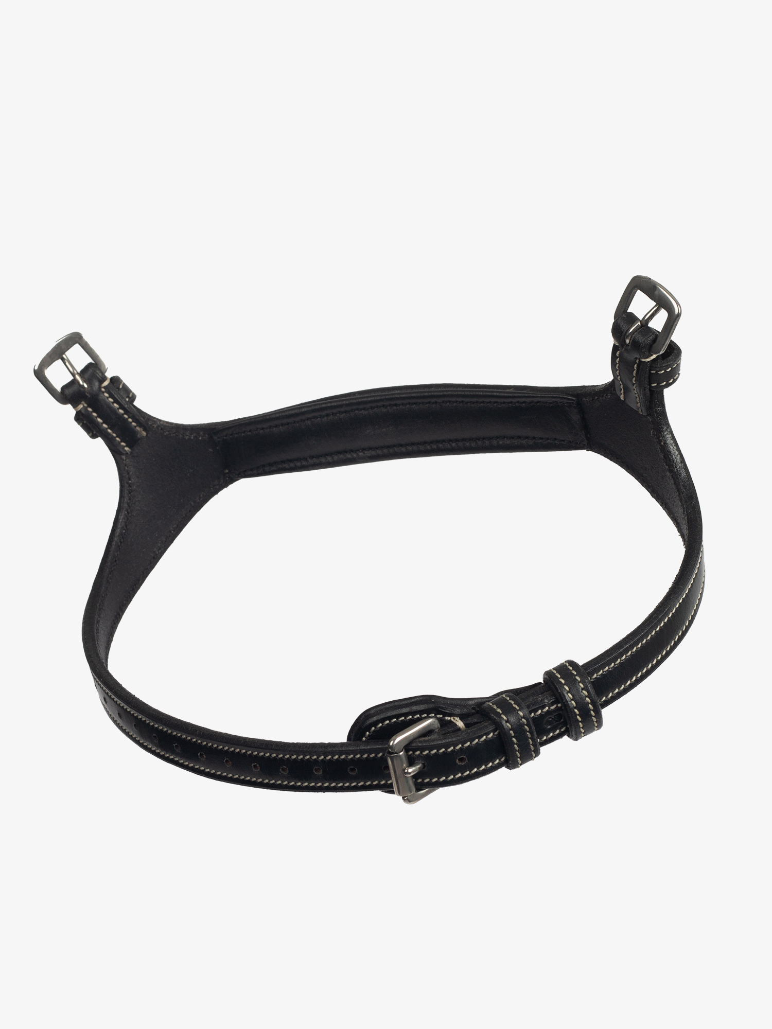 Noseband Paris