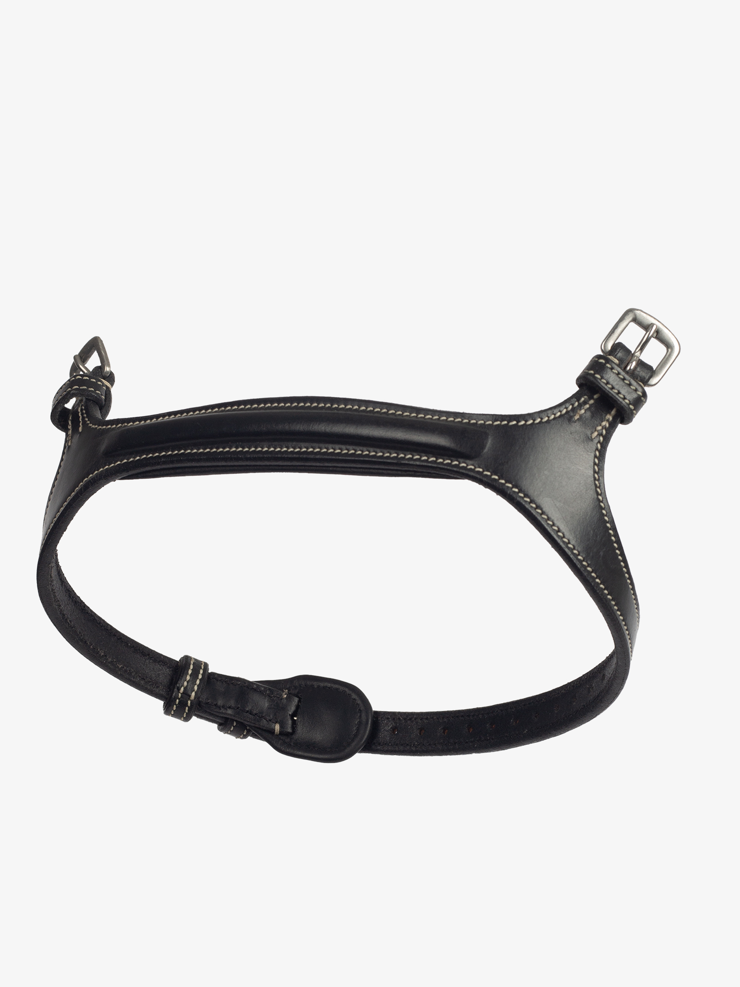 Noseband Paris