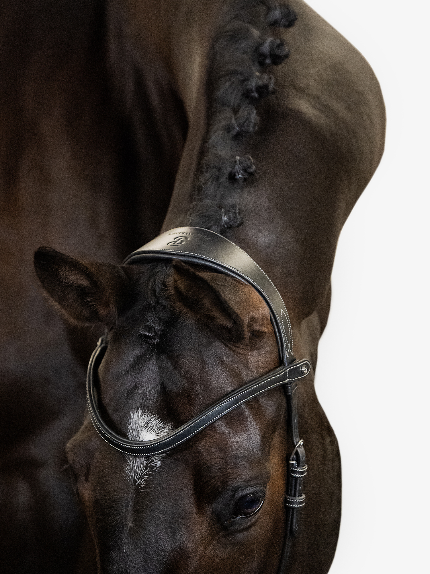 Helsinki Bridle