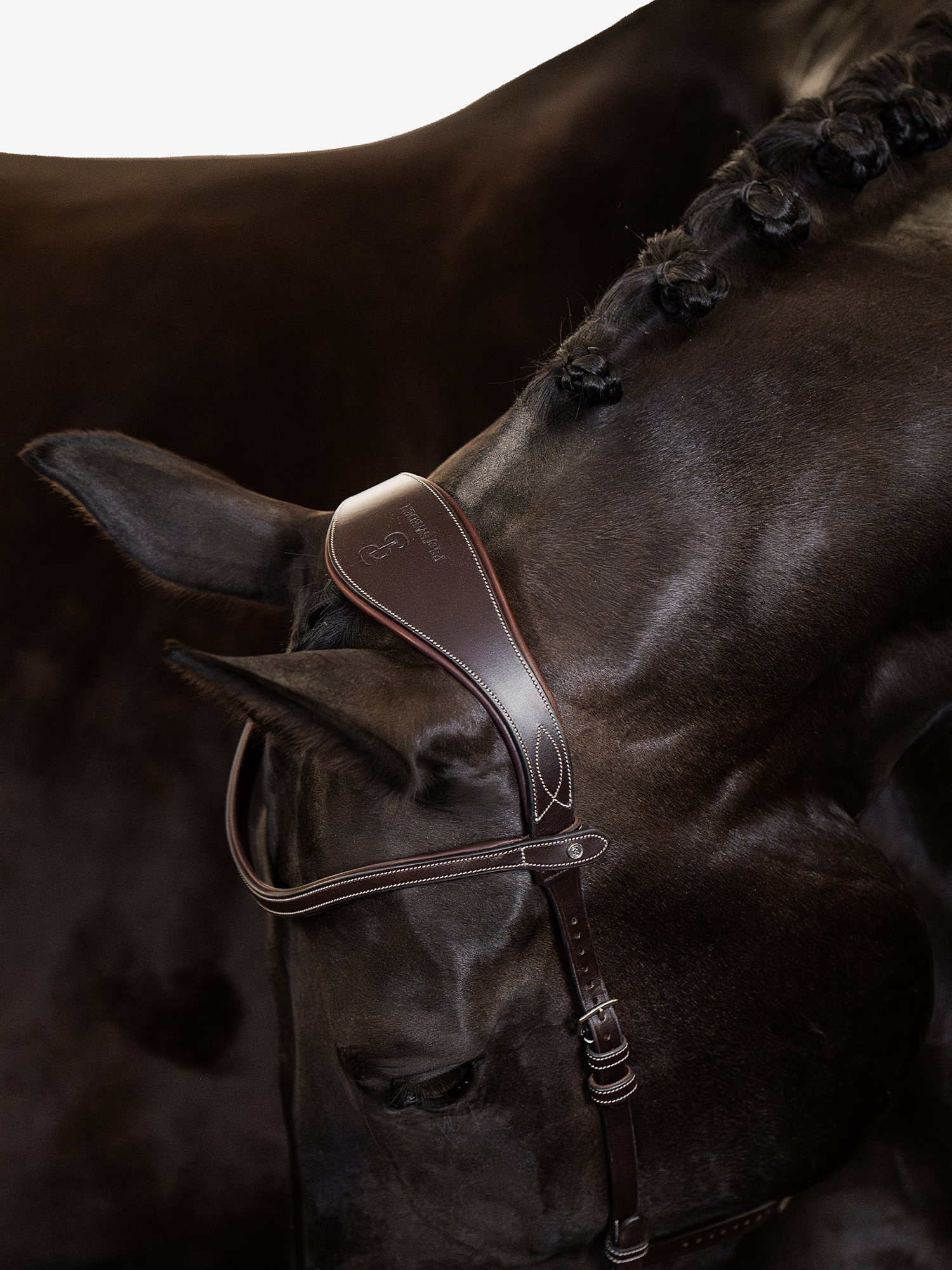 Helsinki Bridle