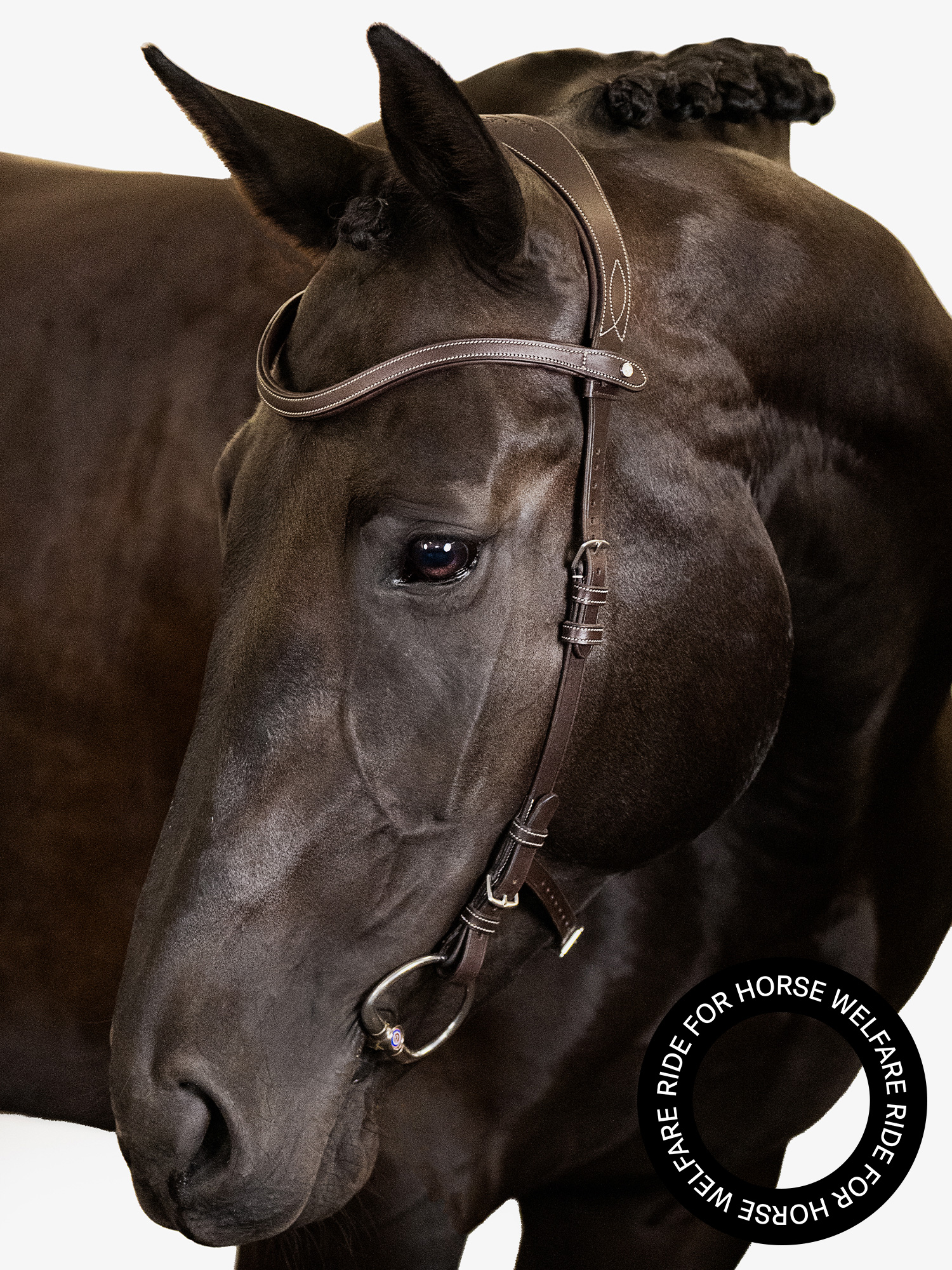 Helsinki Bridle