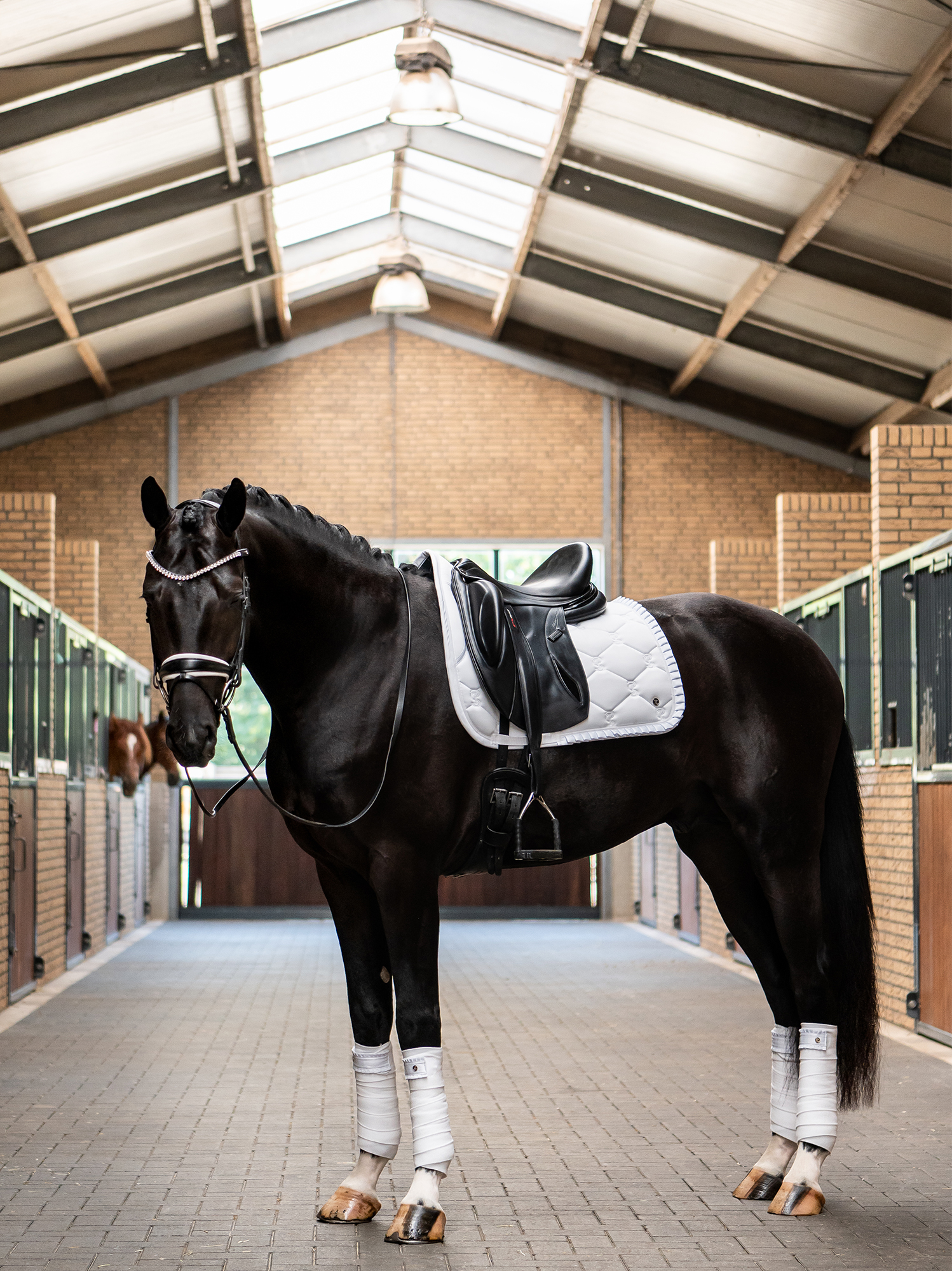 Saddle Pad Dressage Ruffle