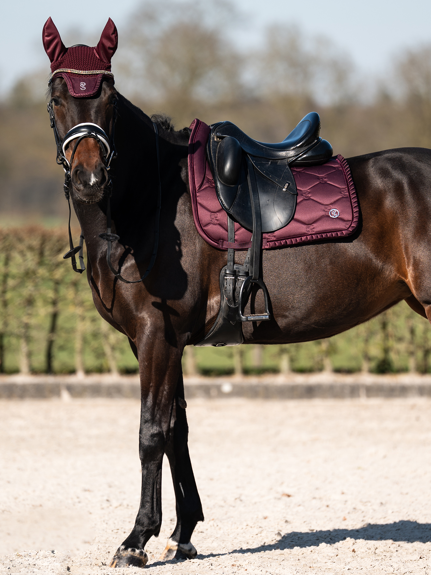 Saddle Pad Dressage Ruffle