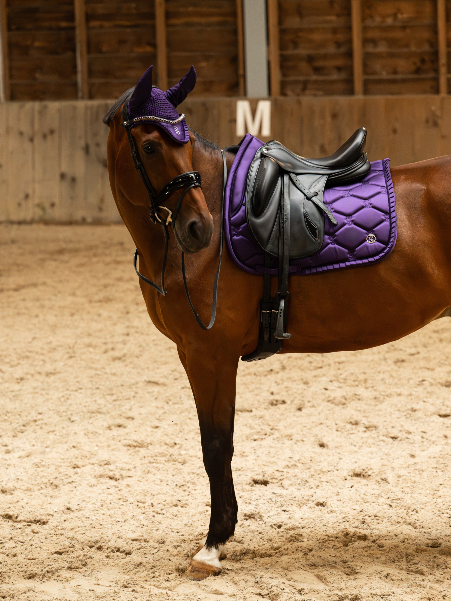 Saddle Pad Dressage Ruffle Eclipse Purple