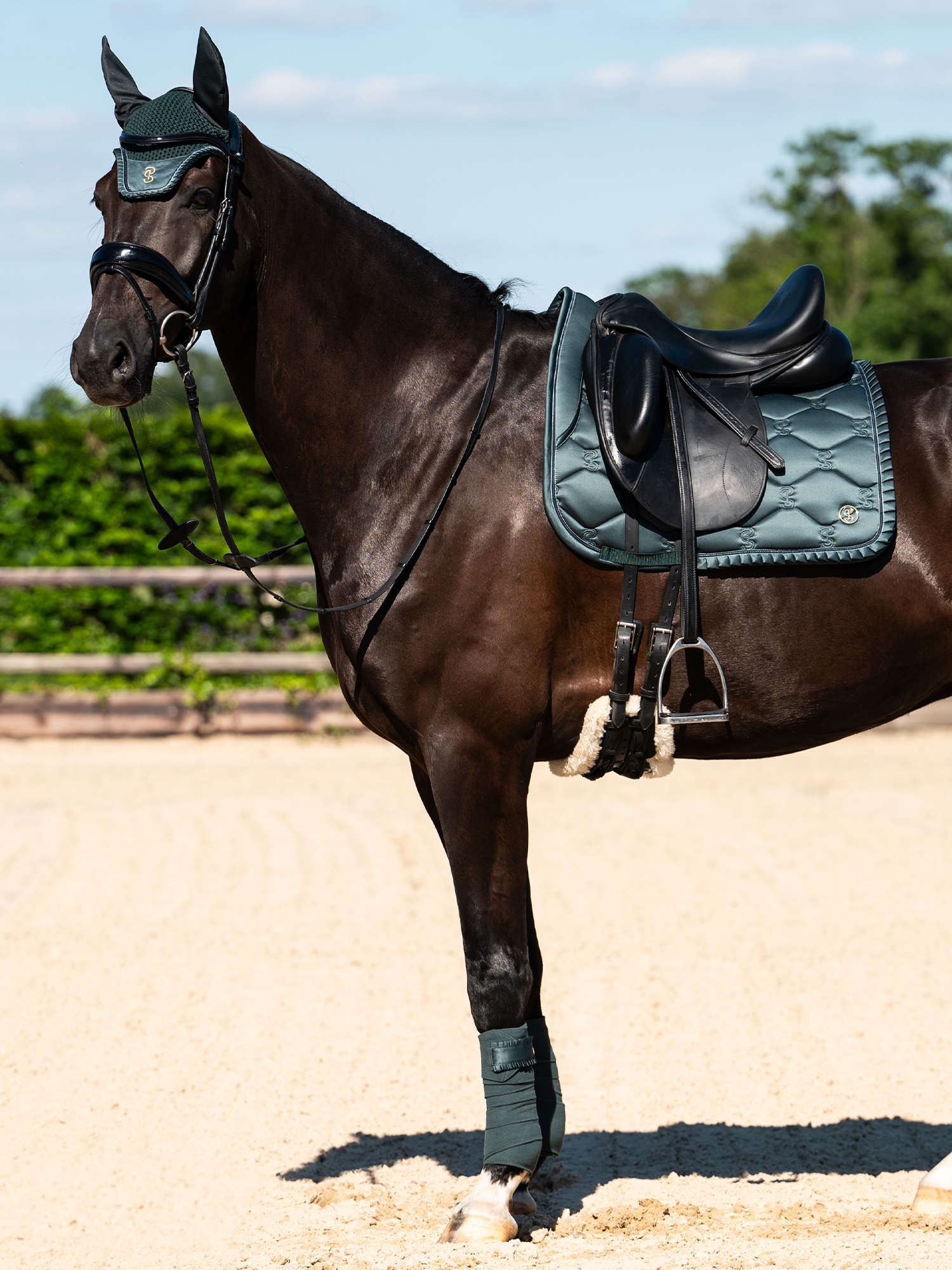 Saddle Pad Dressage Ruffle