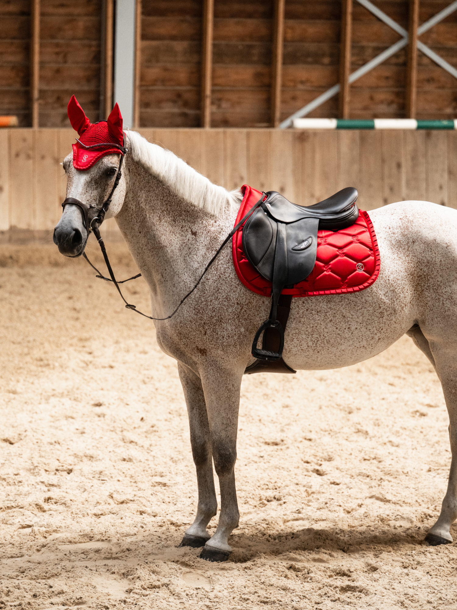 Saddle Pad Jump Ruffle Cranberry Red