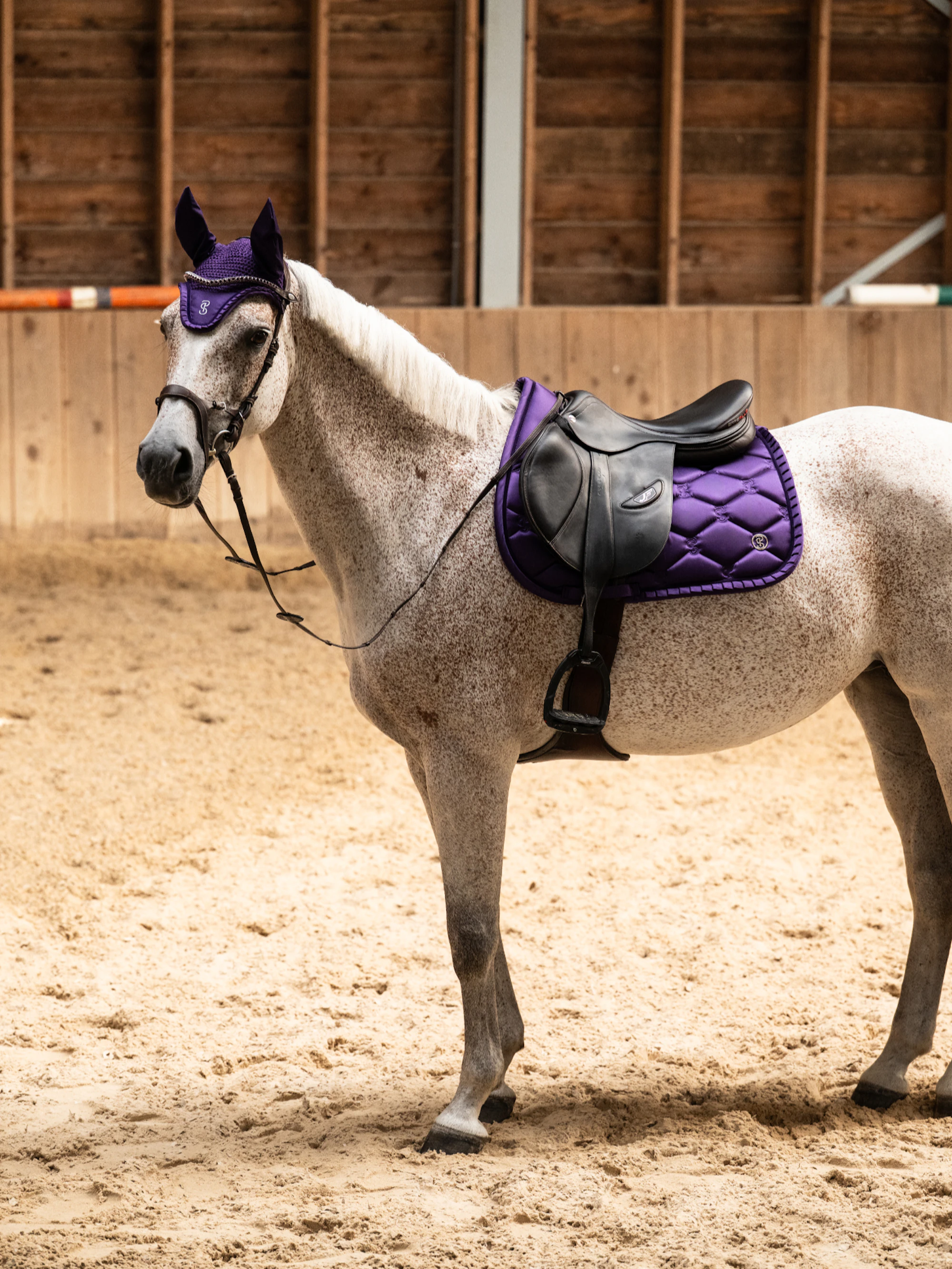Saddle Pad Jump Ruffle Eclipse Purple Saddle Pad Jump Ruffle Eclipse Purple