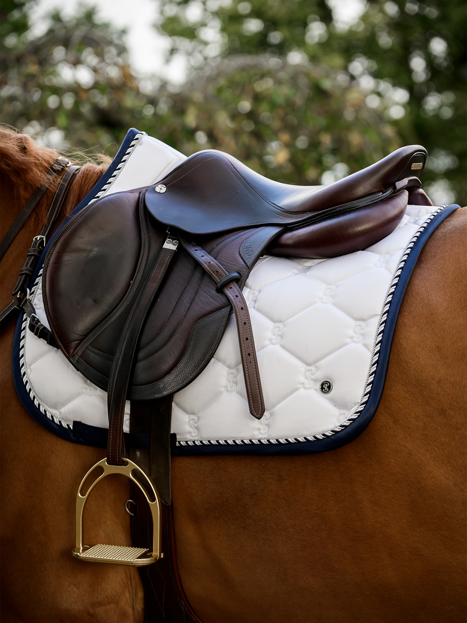 Saddle Pad Jump Signature