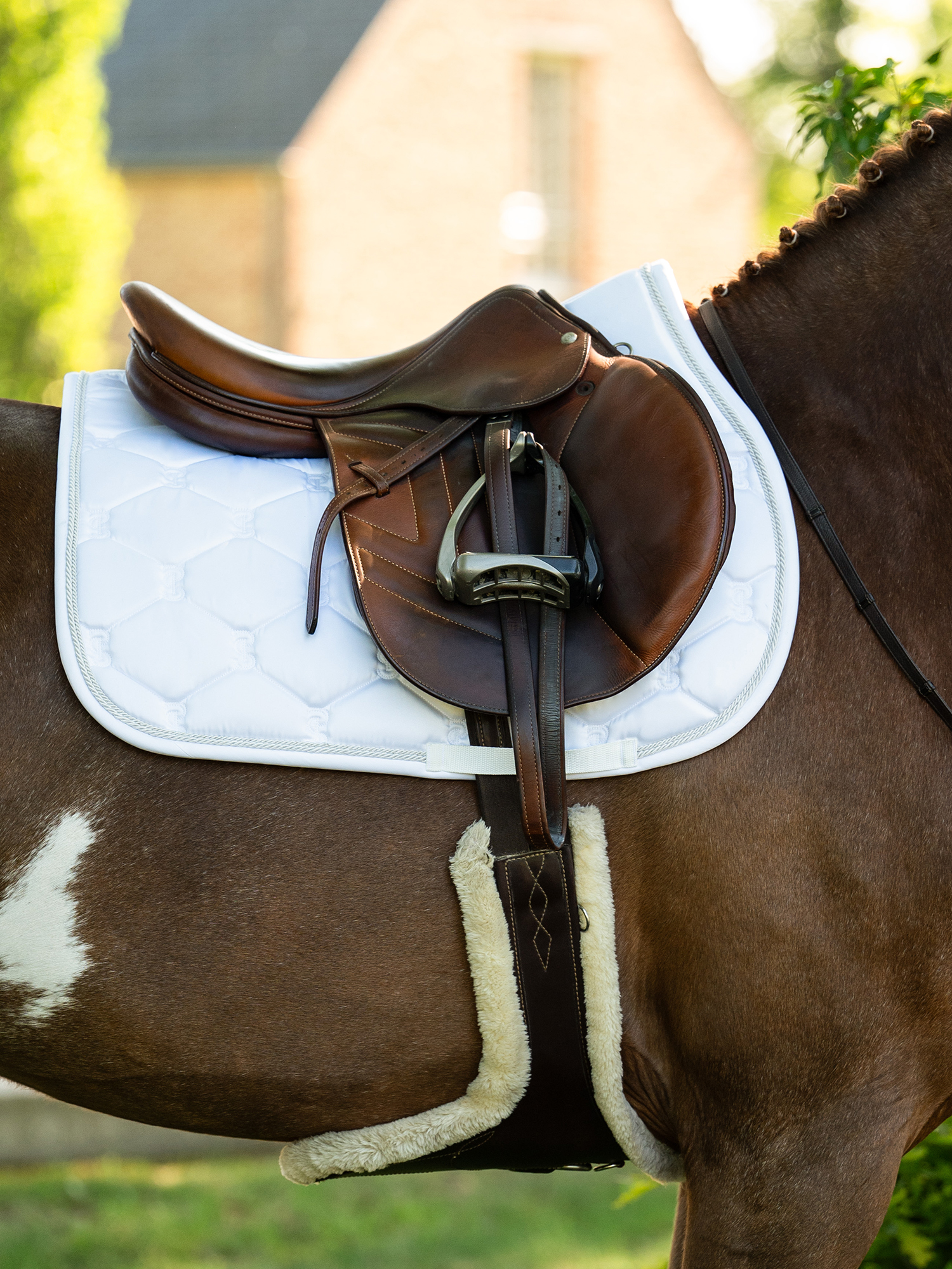 Saddle Pad Jump Signature