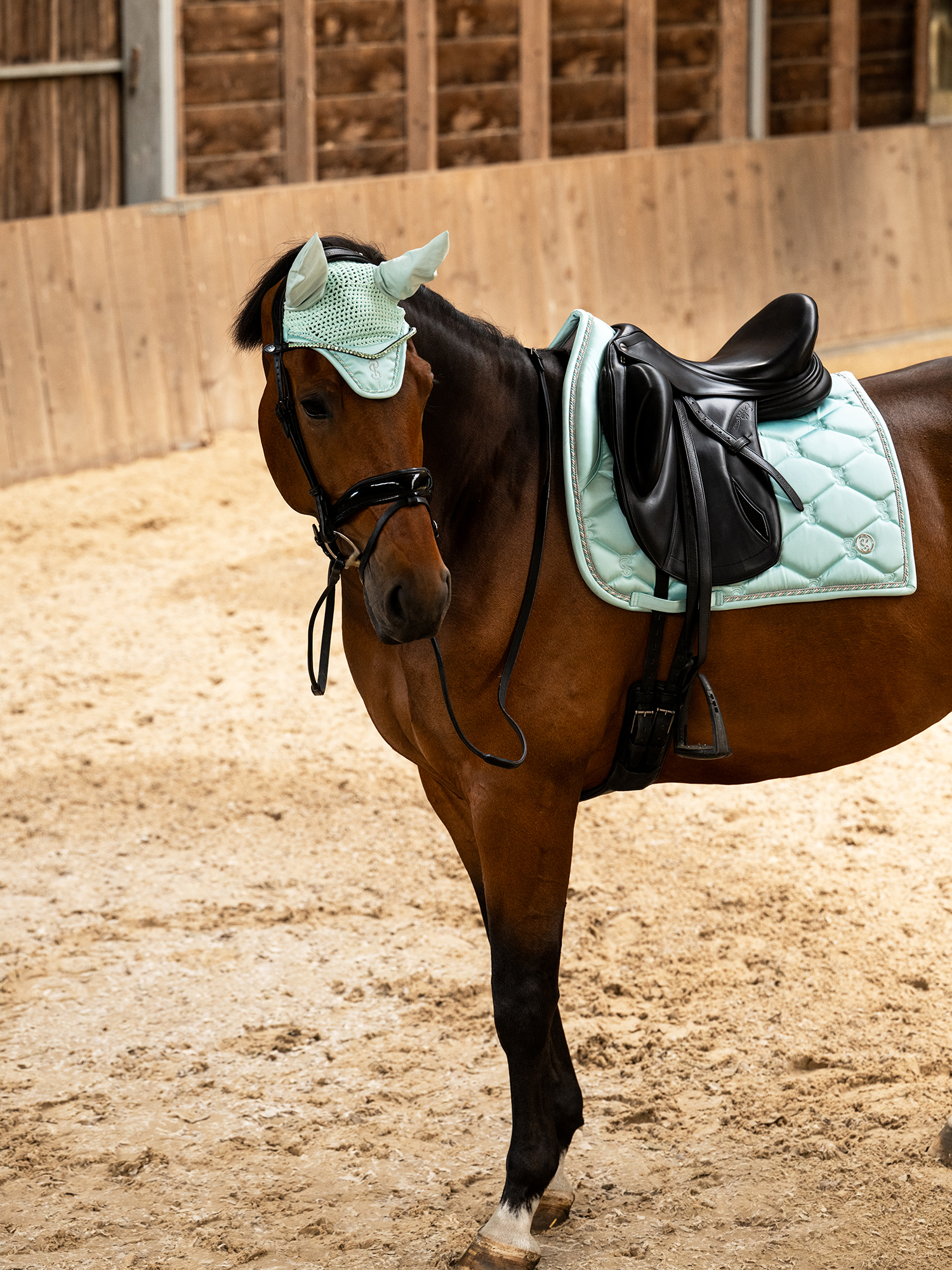 Saddle Pad Dressage Signature