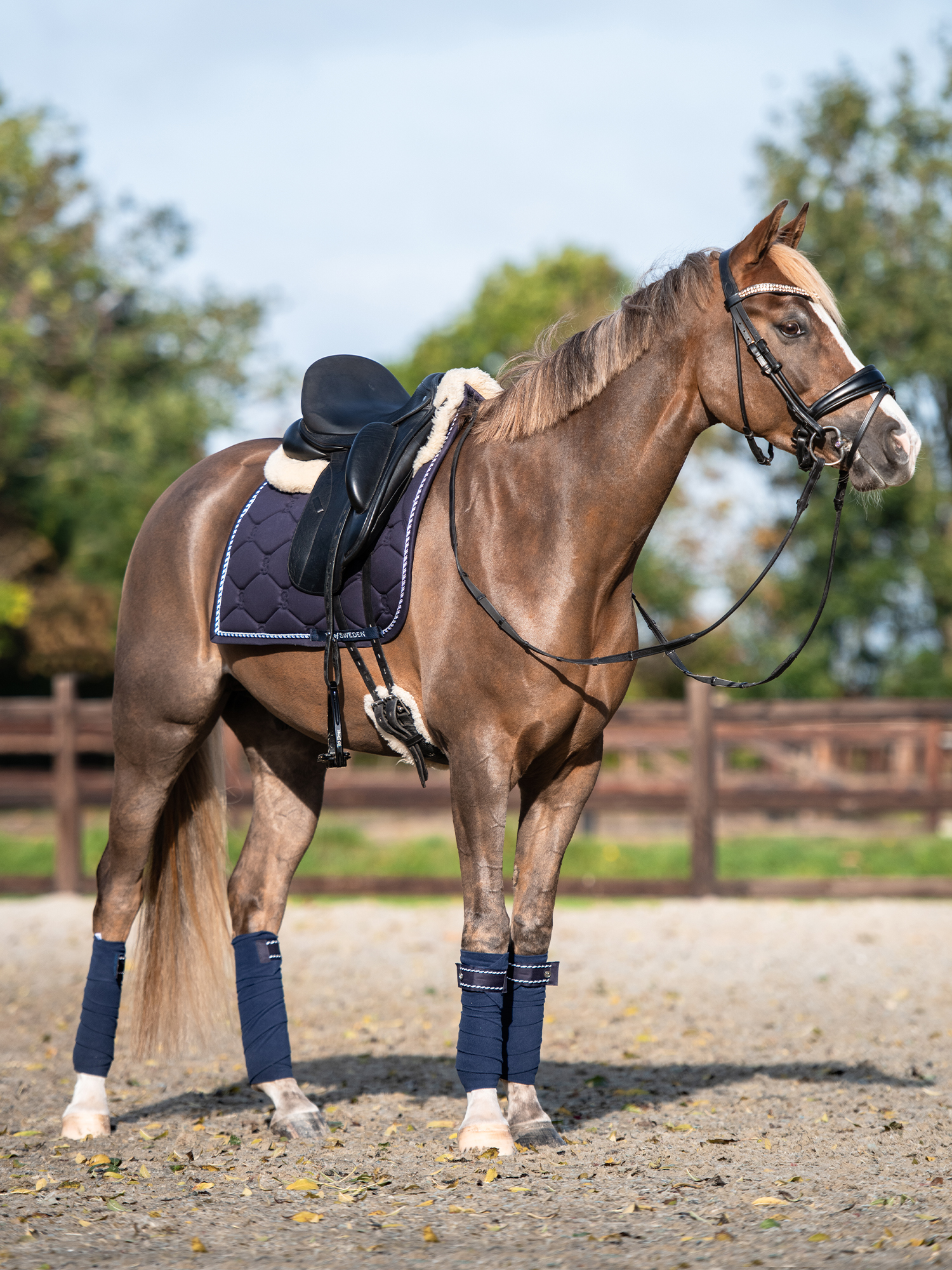 Saddle Pad Dressage Signature