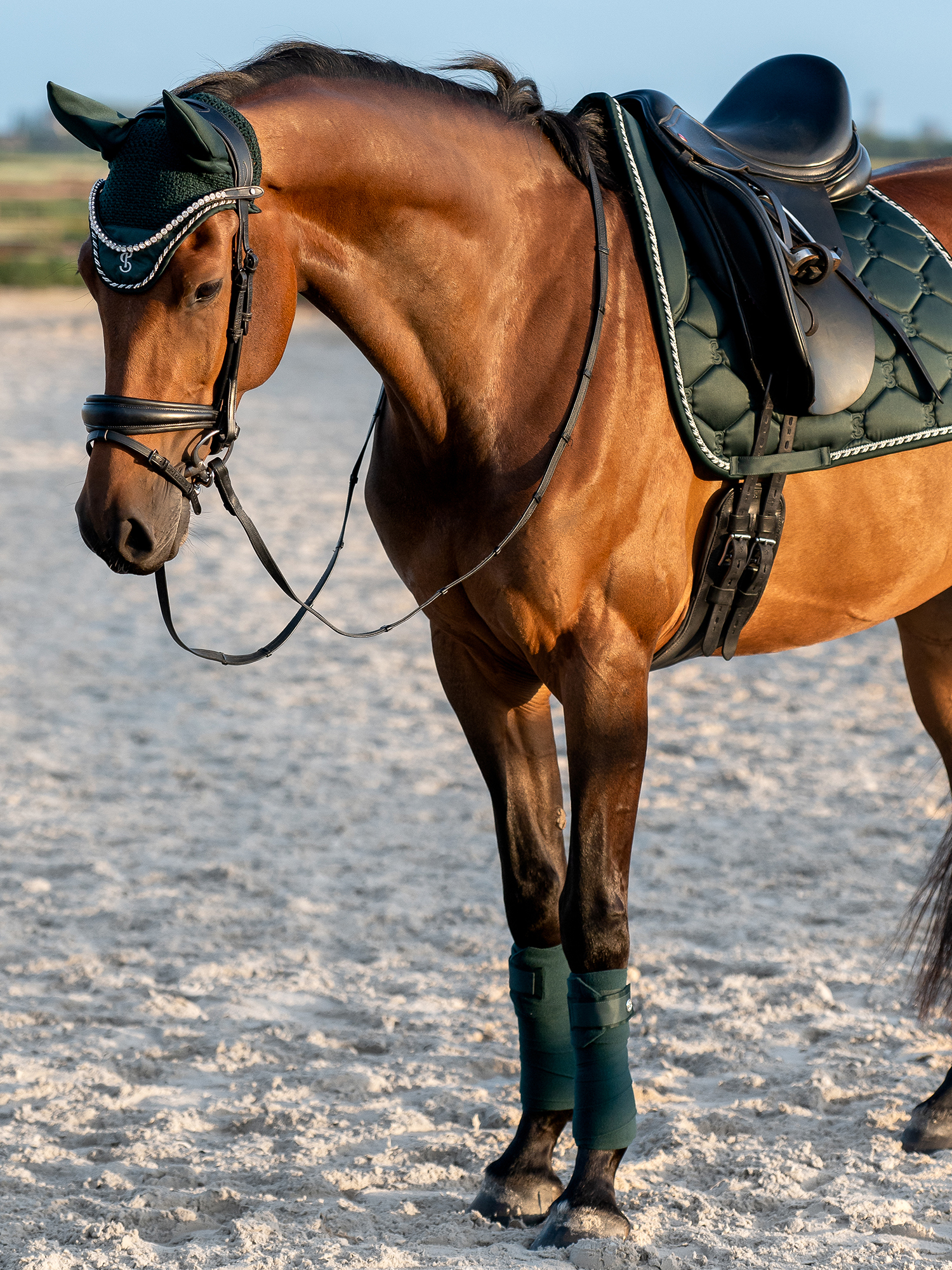 Saddle Pad Dressage Signature