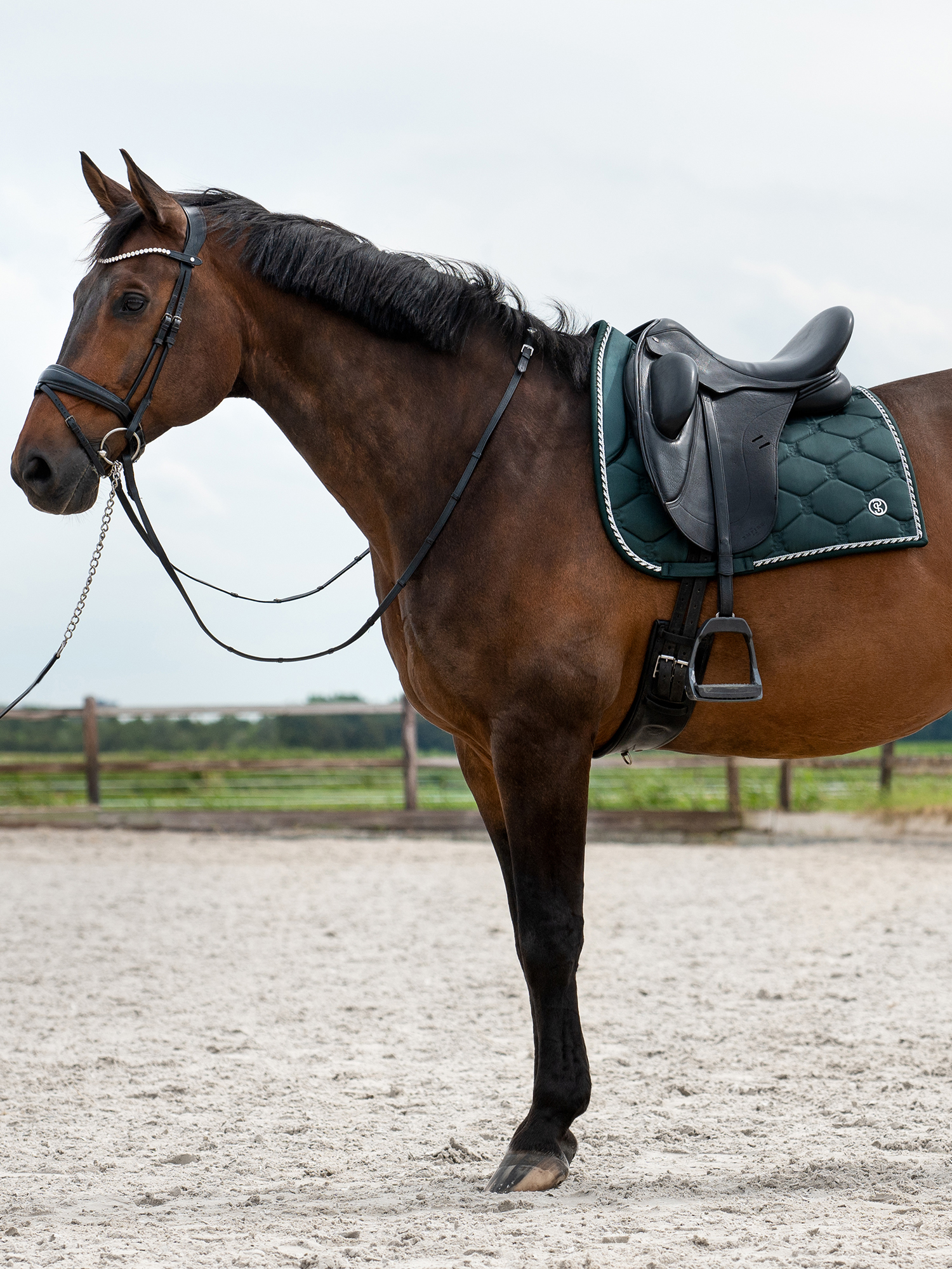 Saddle Pad Dressage Signature