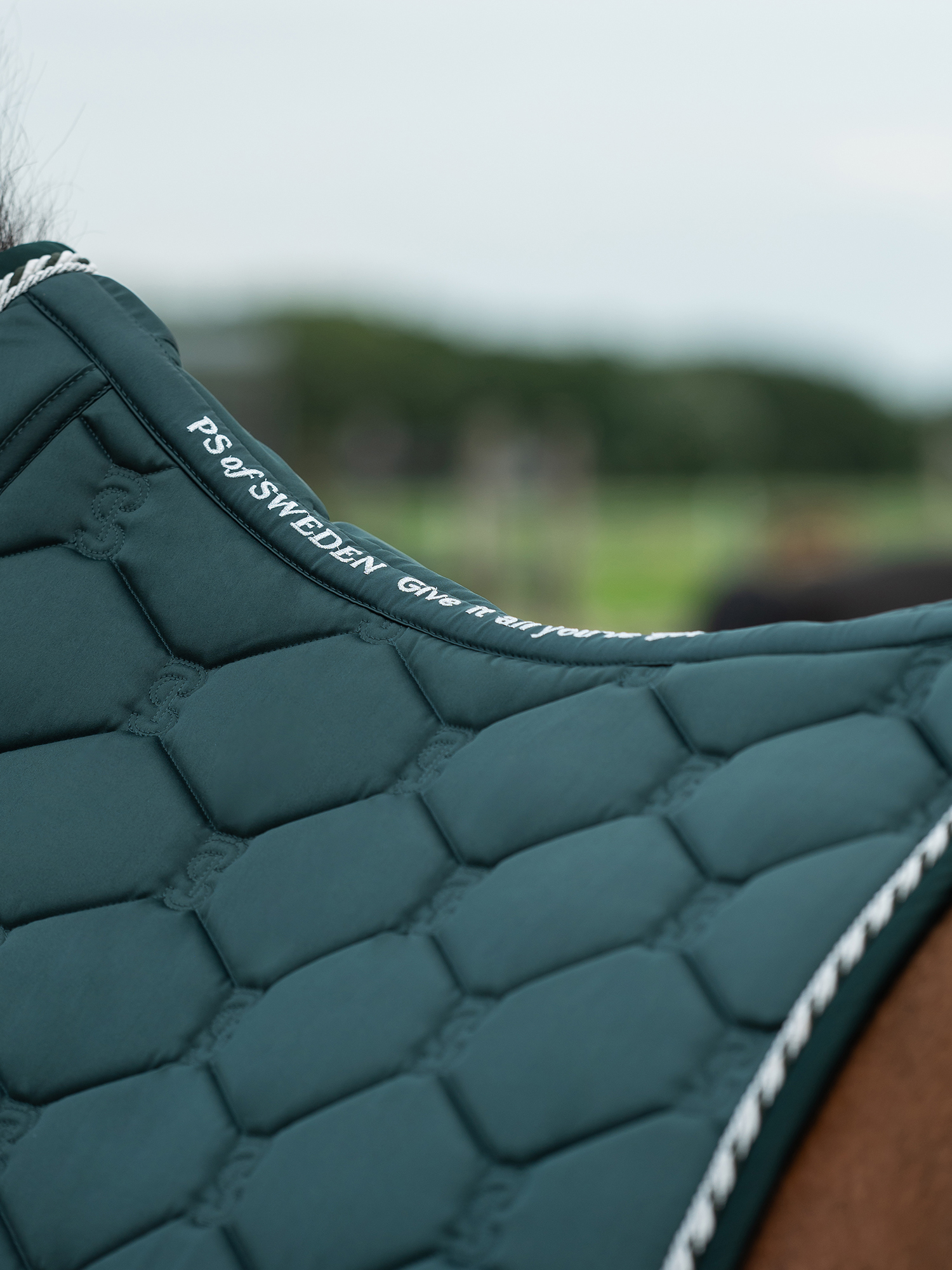 Saddle Pad Dressage Signature