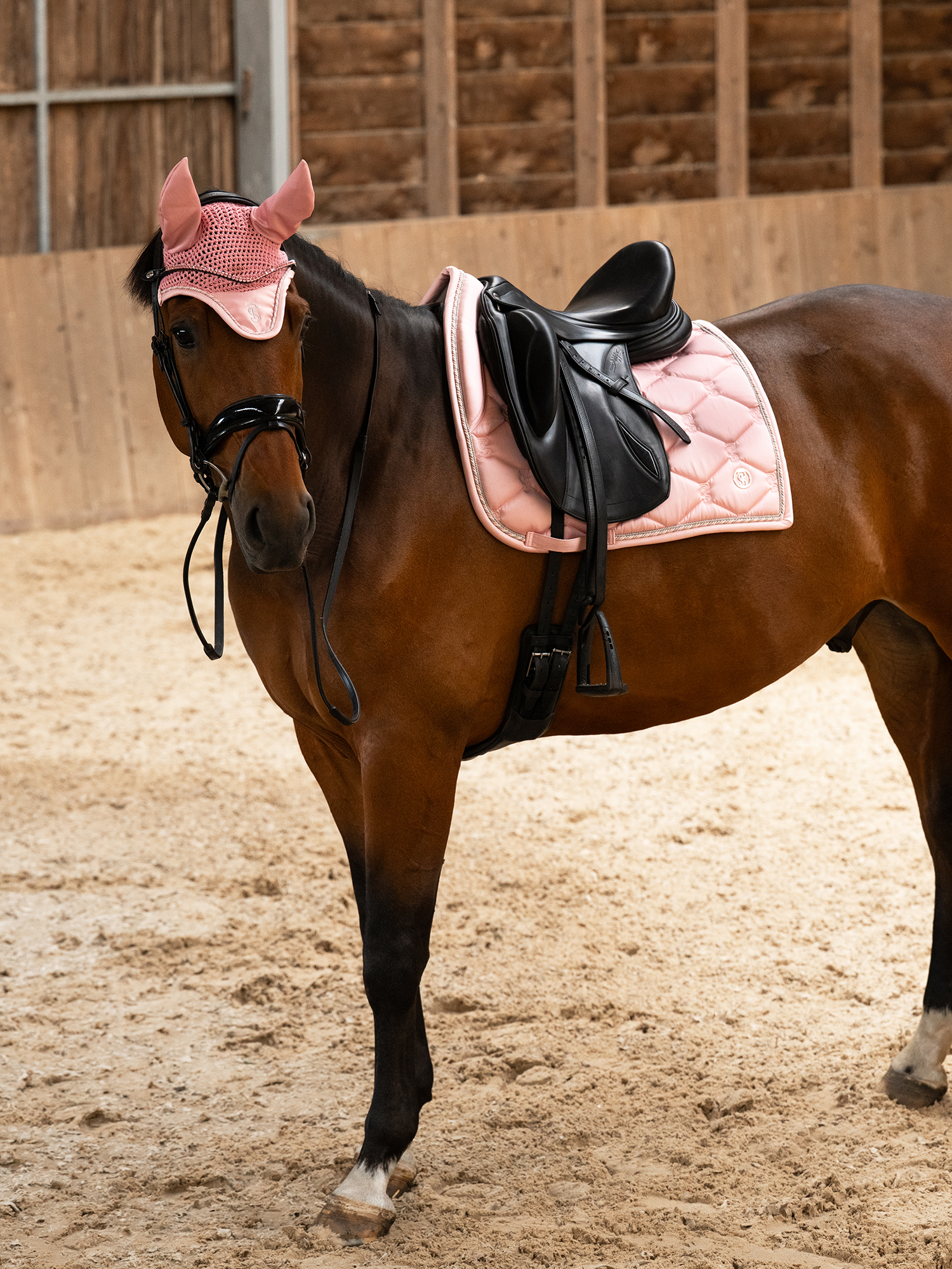 Saddle Pad Dressage Signature