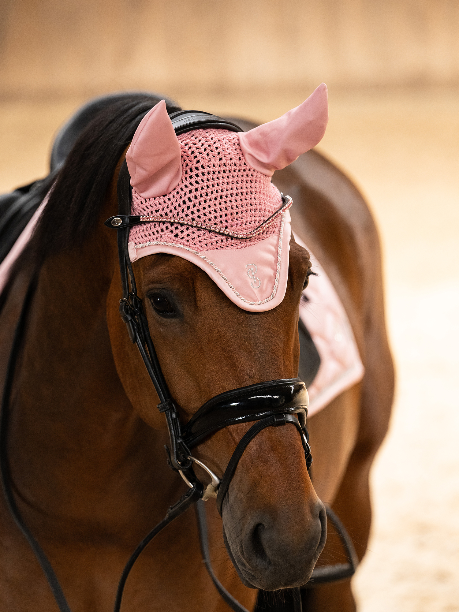 Ear Bonnet Signature