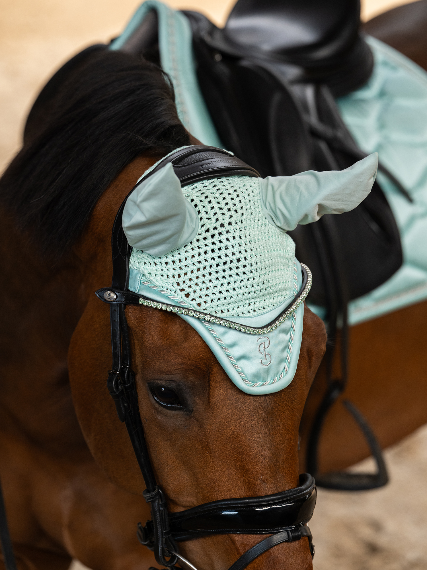 Ear Bonnet Signature