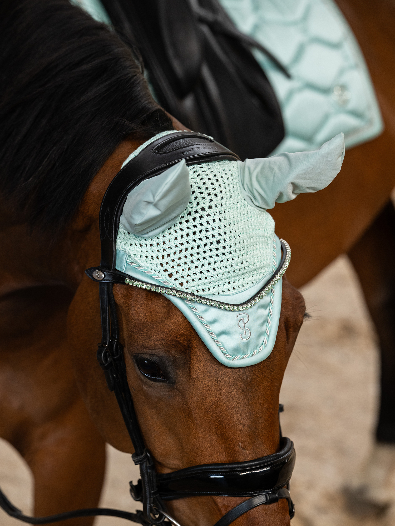 Ear Bonnet Signature