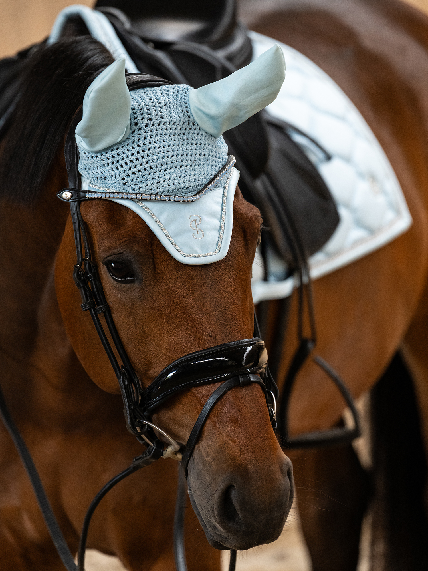 Ear Bonnet Signature