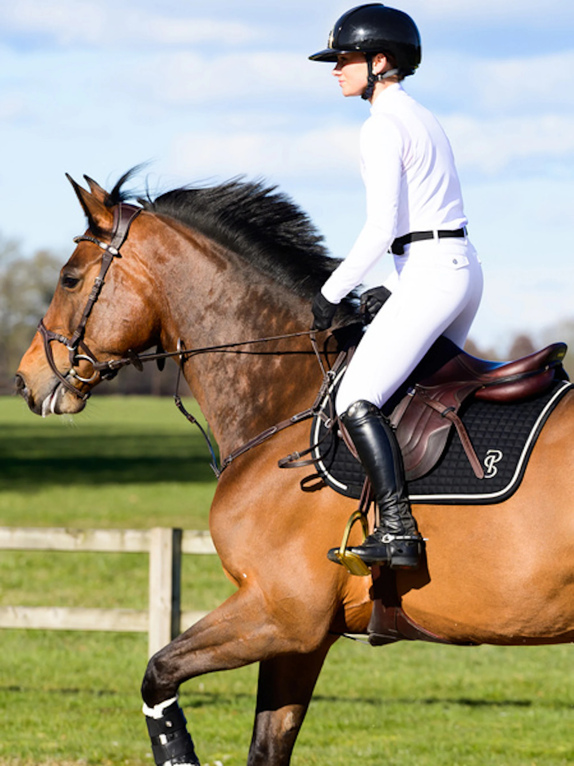 Saddle Pad Jump Elite Saddle Pad Jump Elite