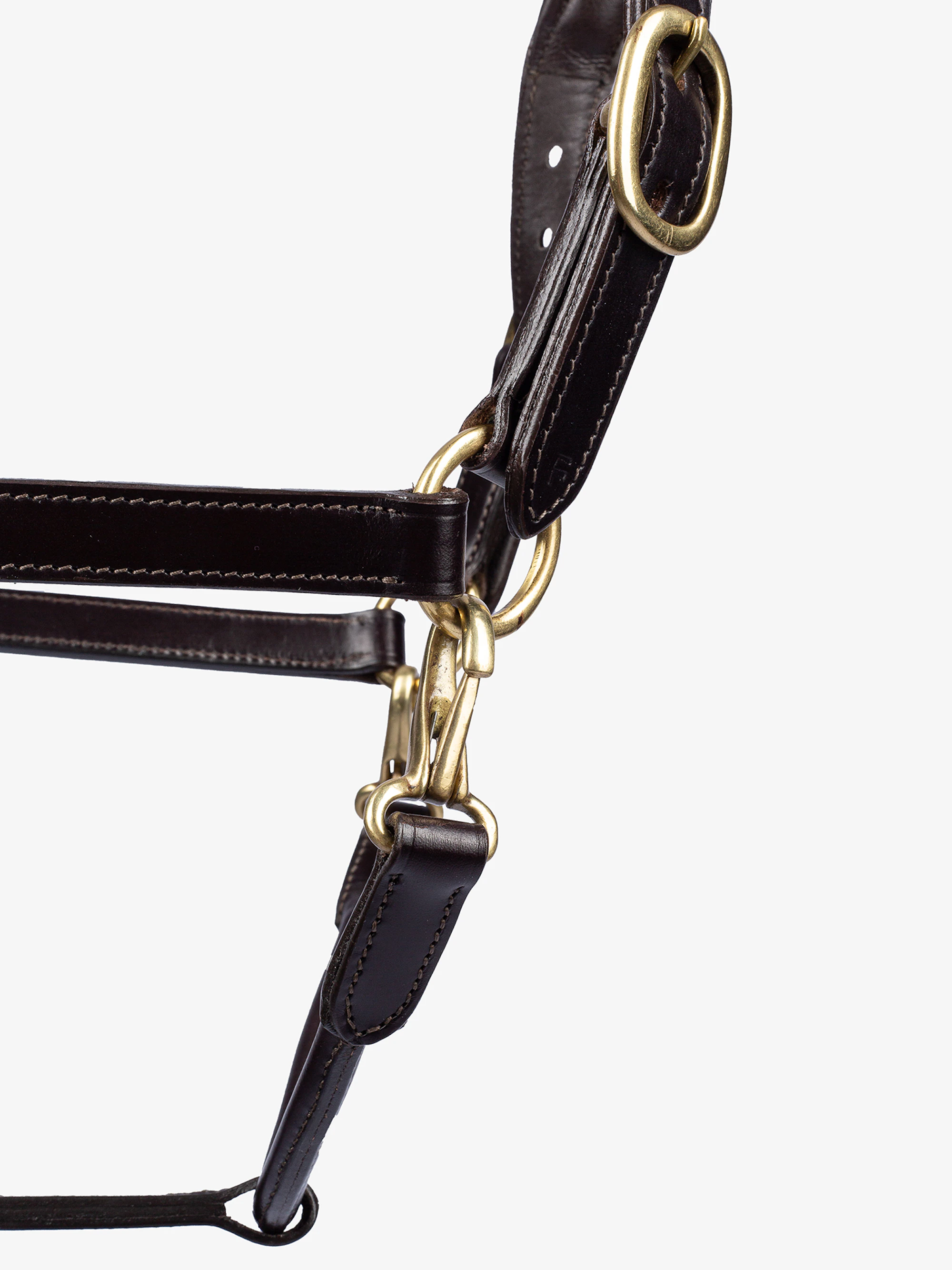 Leather Halter Leather Halter