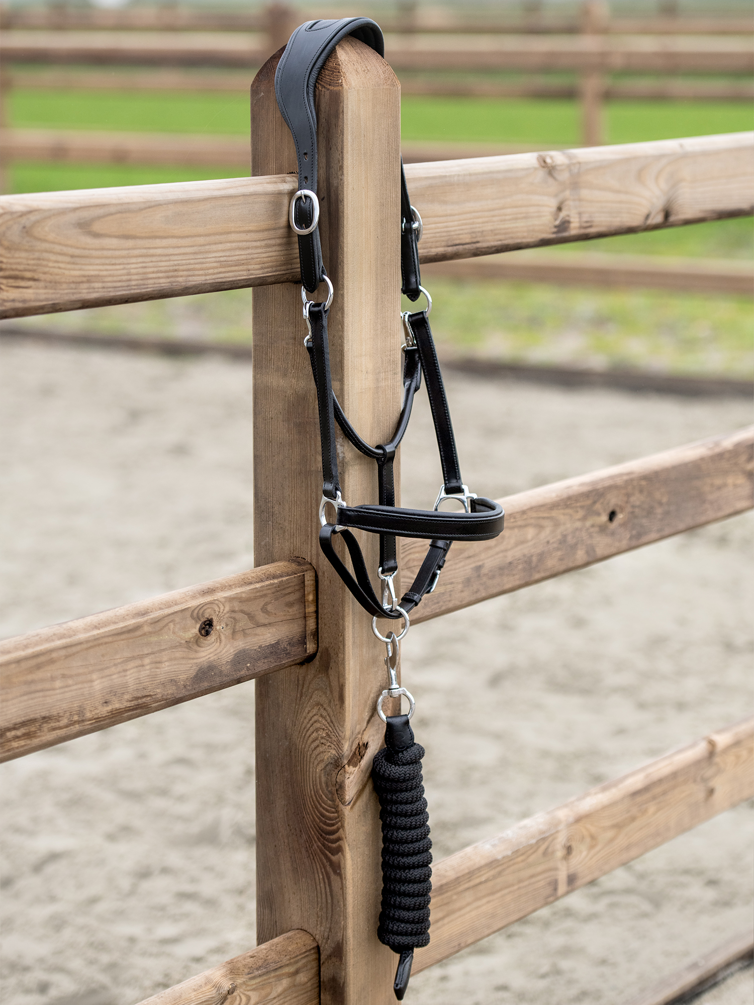 Leather Halter